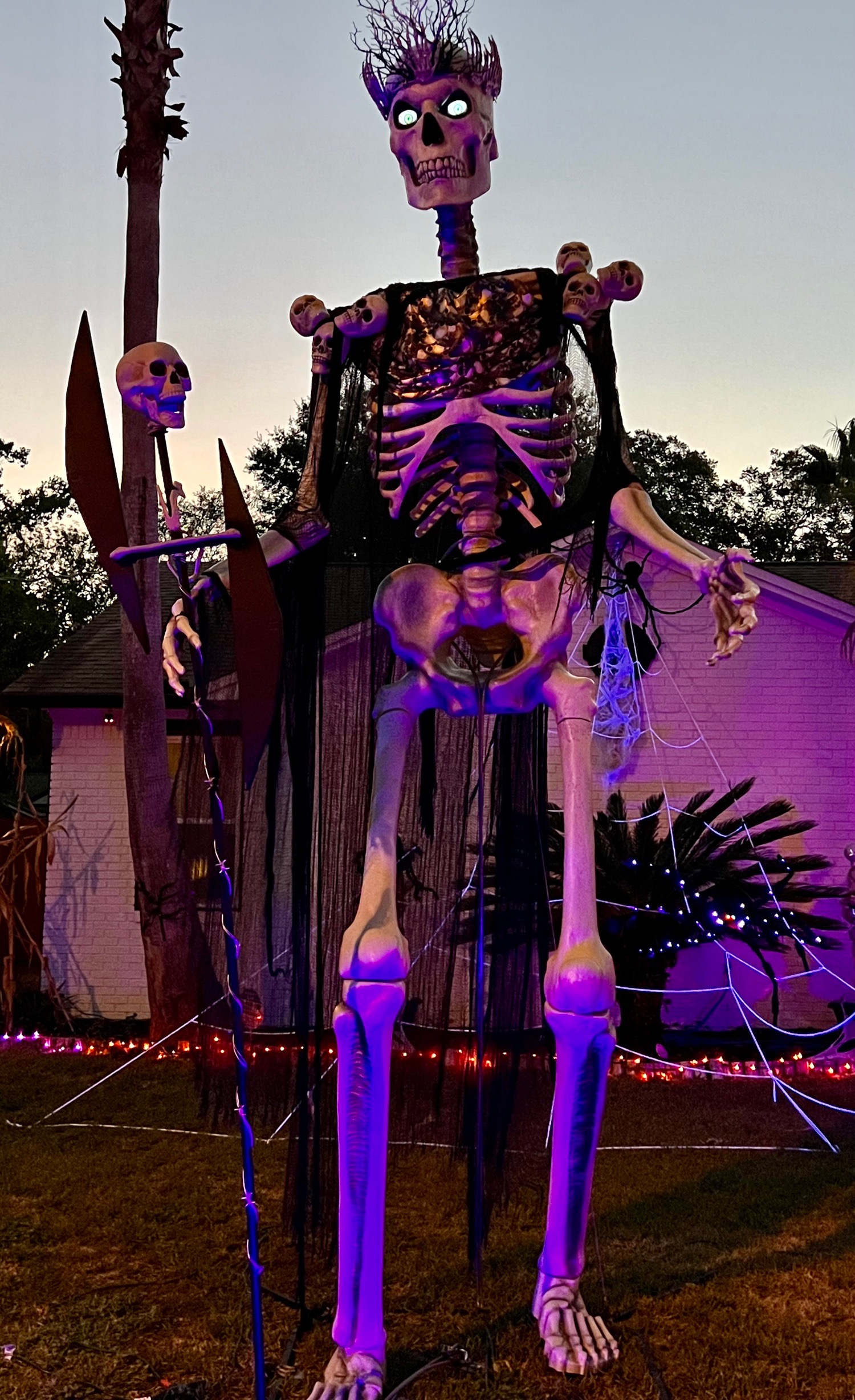 the skeleton house