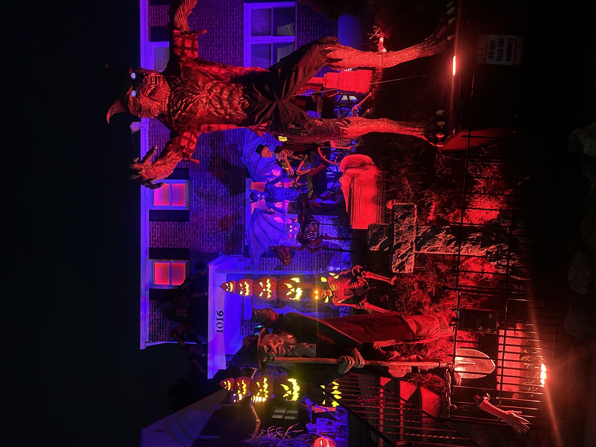 The Asylum On Agnew
