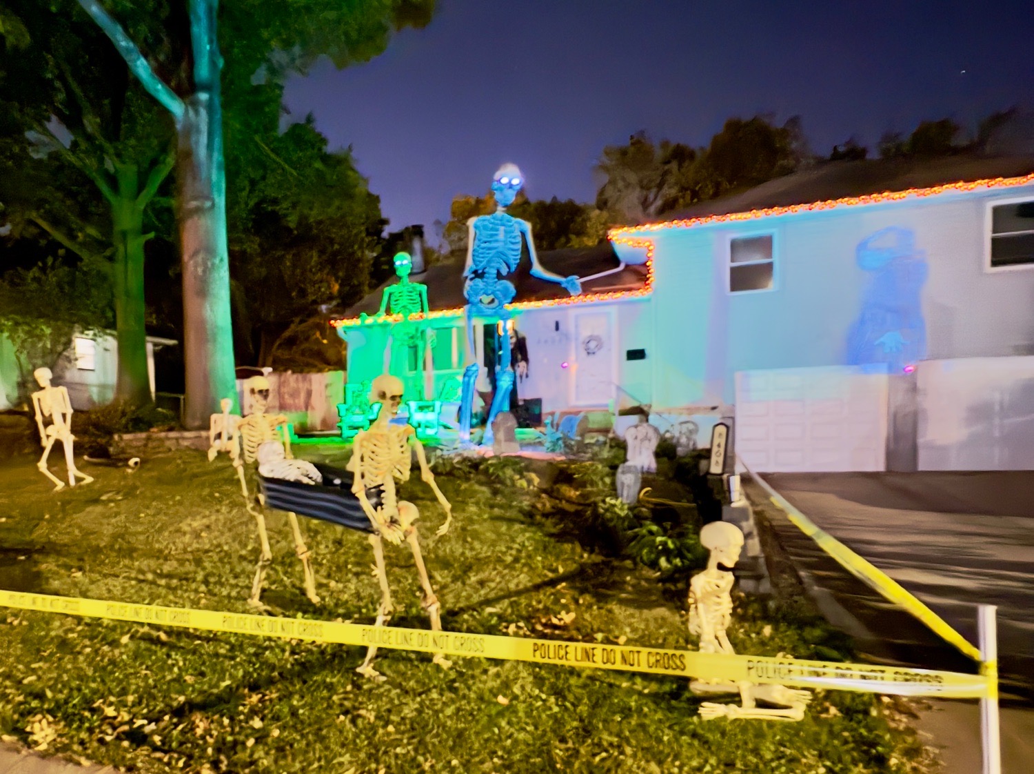 Skeleton Grave Yard