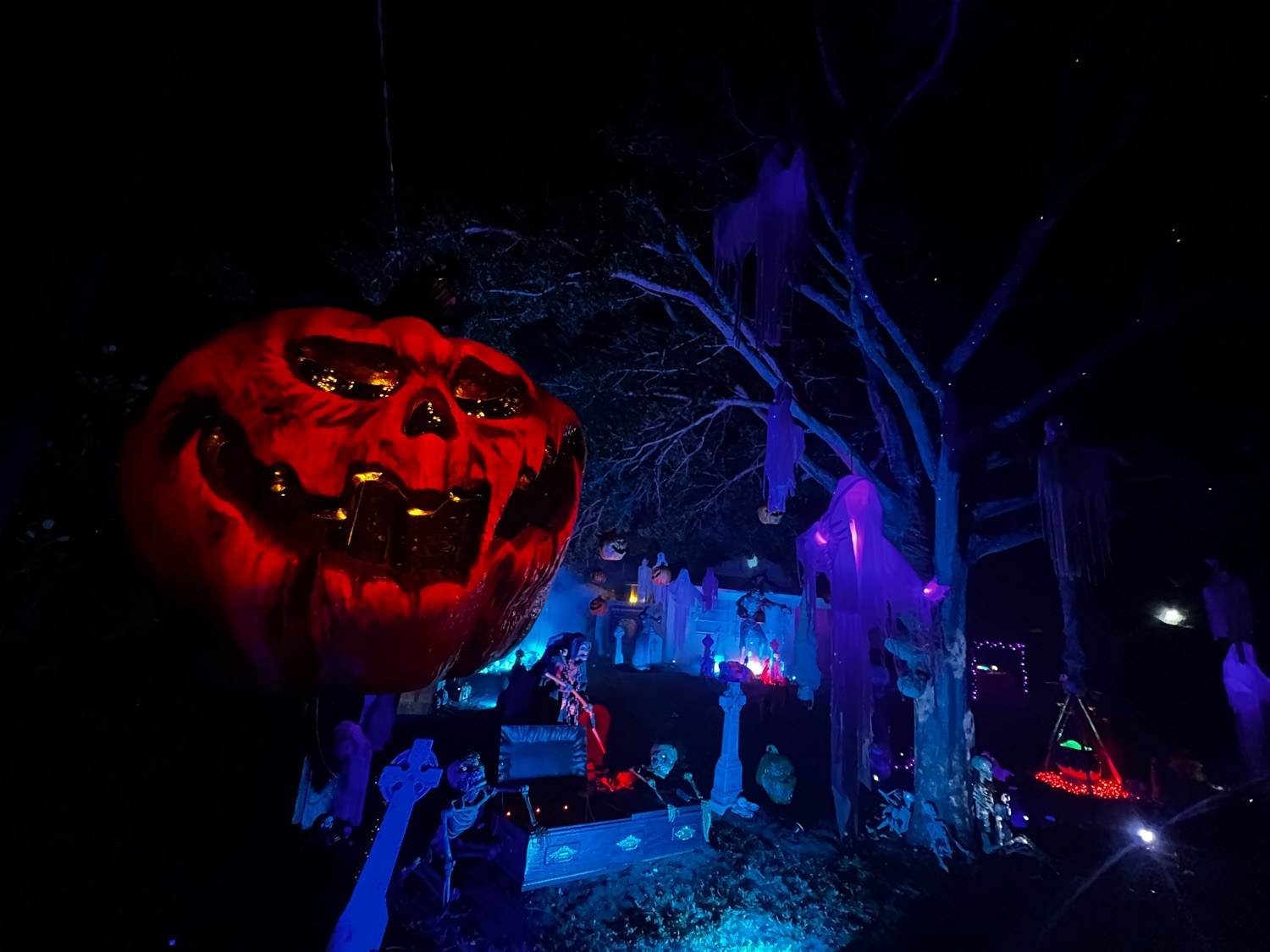 Billie Willies Scream Night 2024