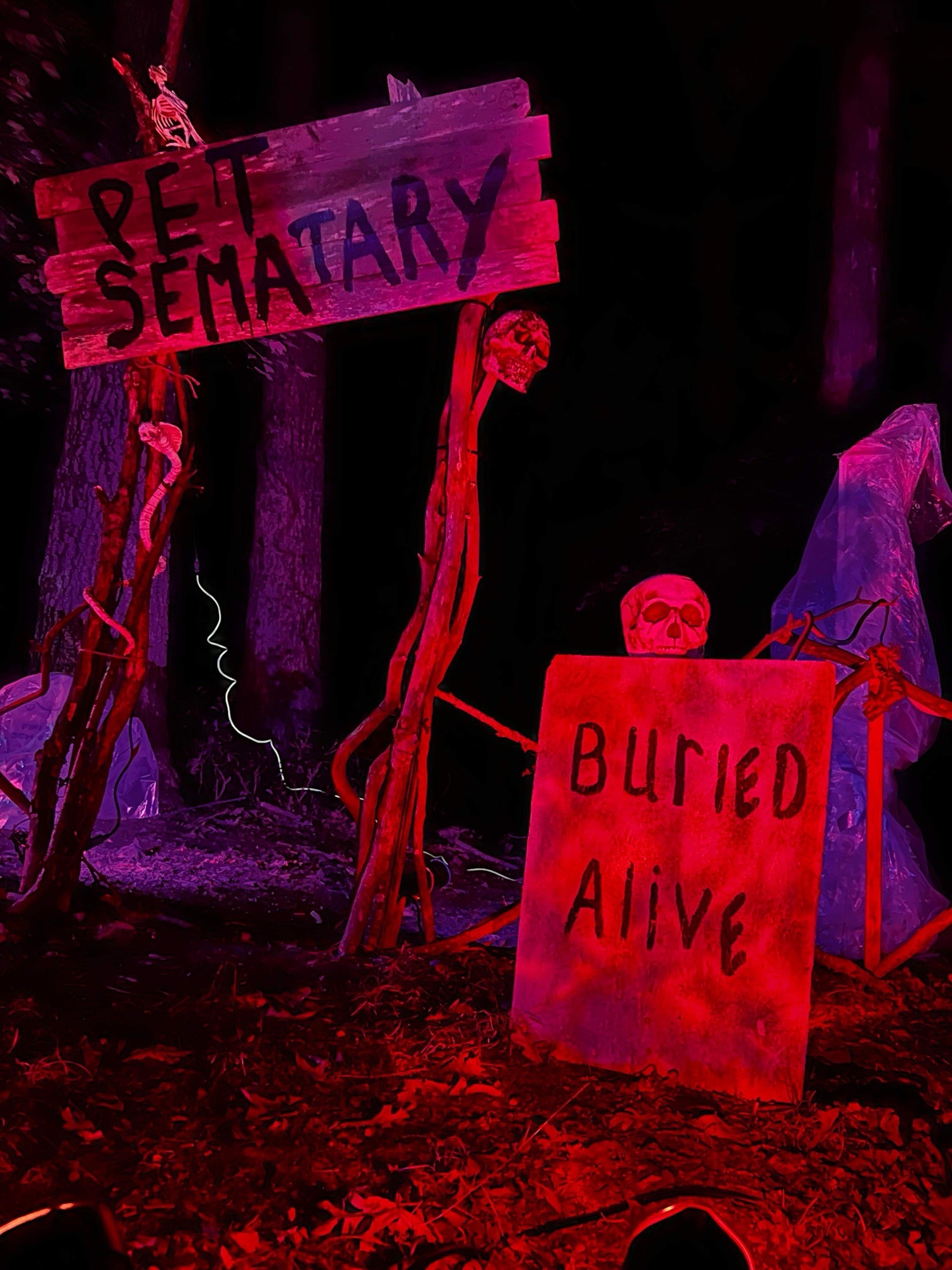 terror in the pines