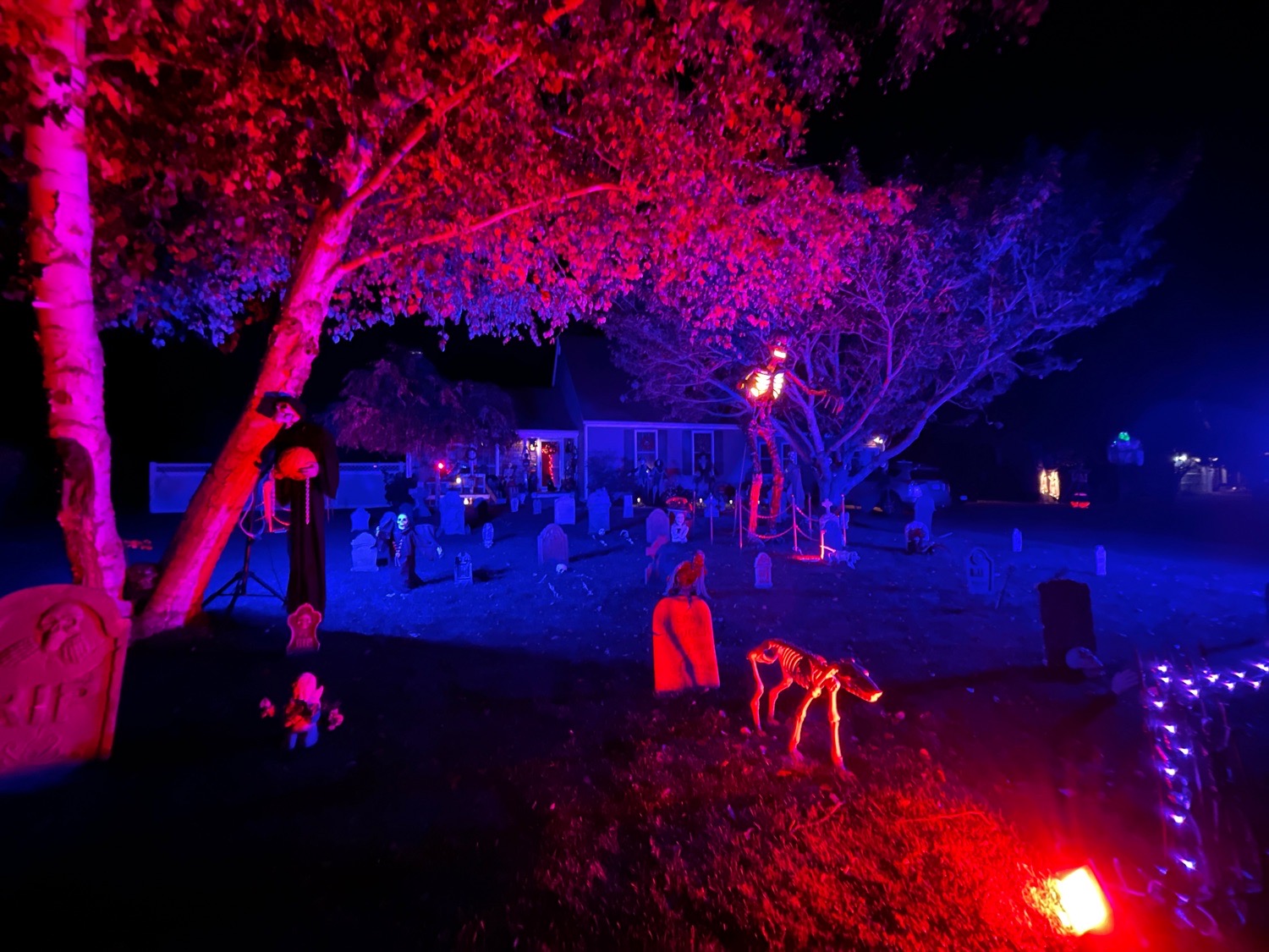 the Haunting of Renee Drive