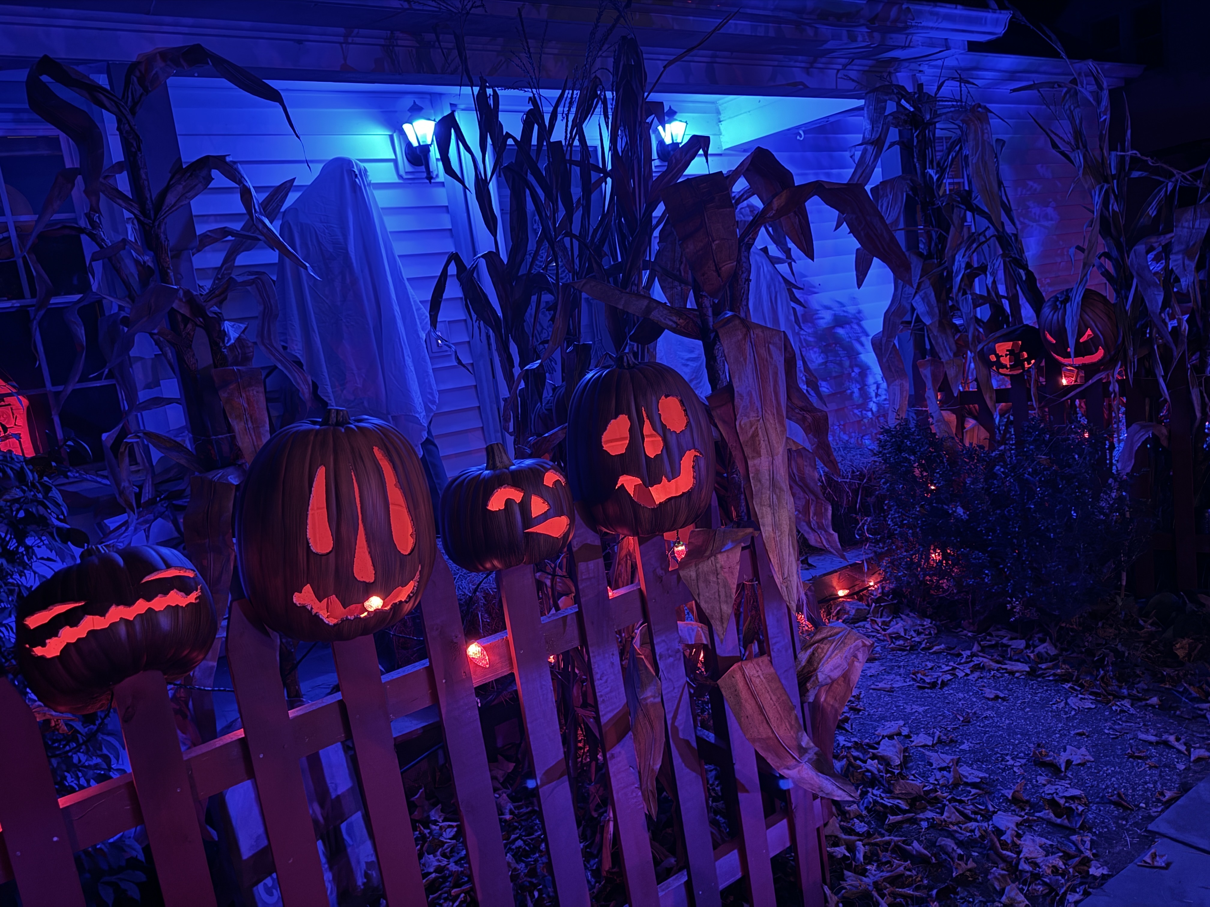 haunt on Virginia Ave in Danbury, Connecticut