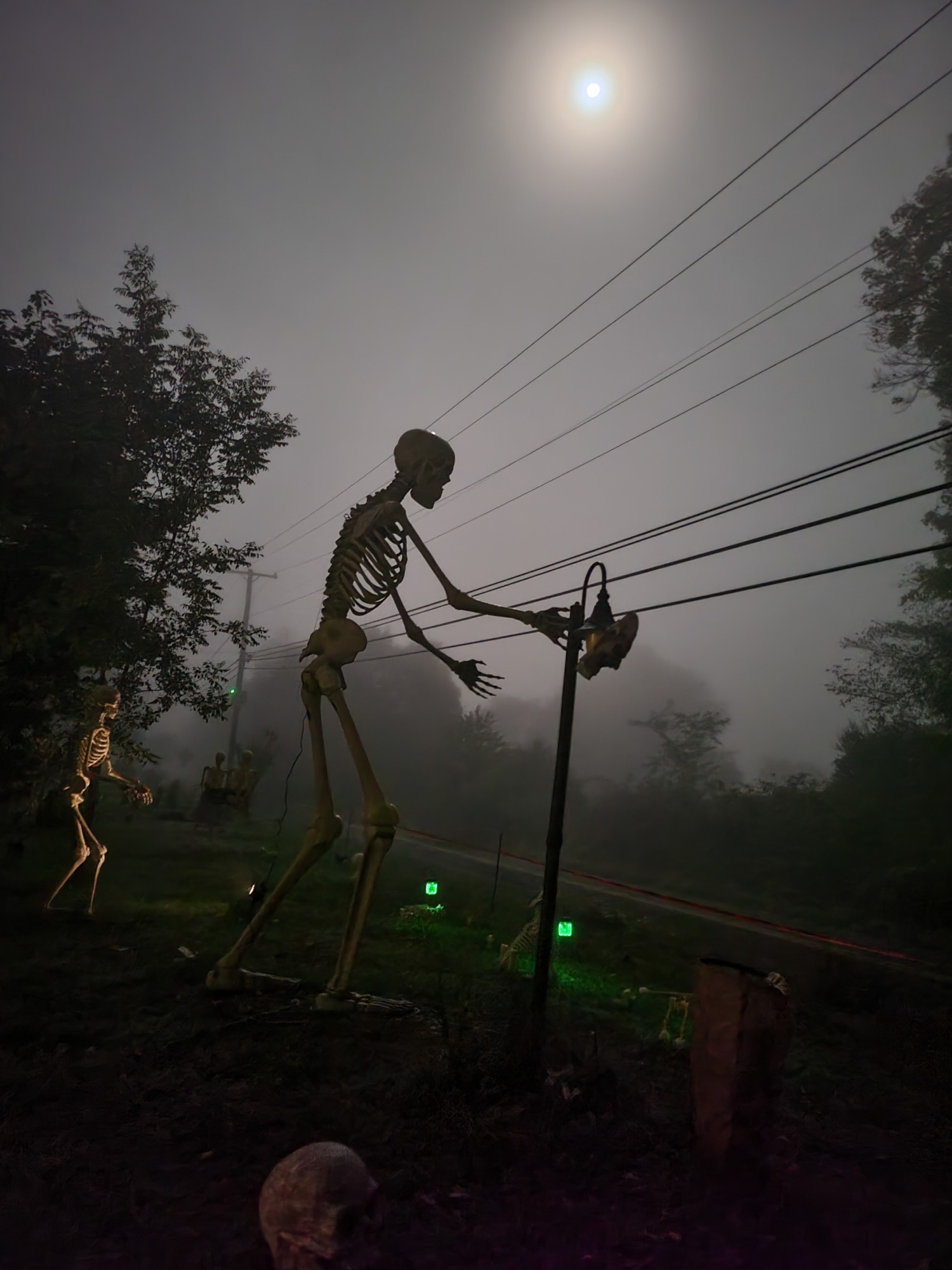 Erwinna Halloween House
