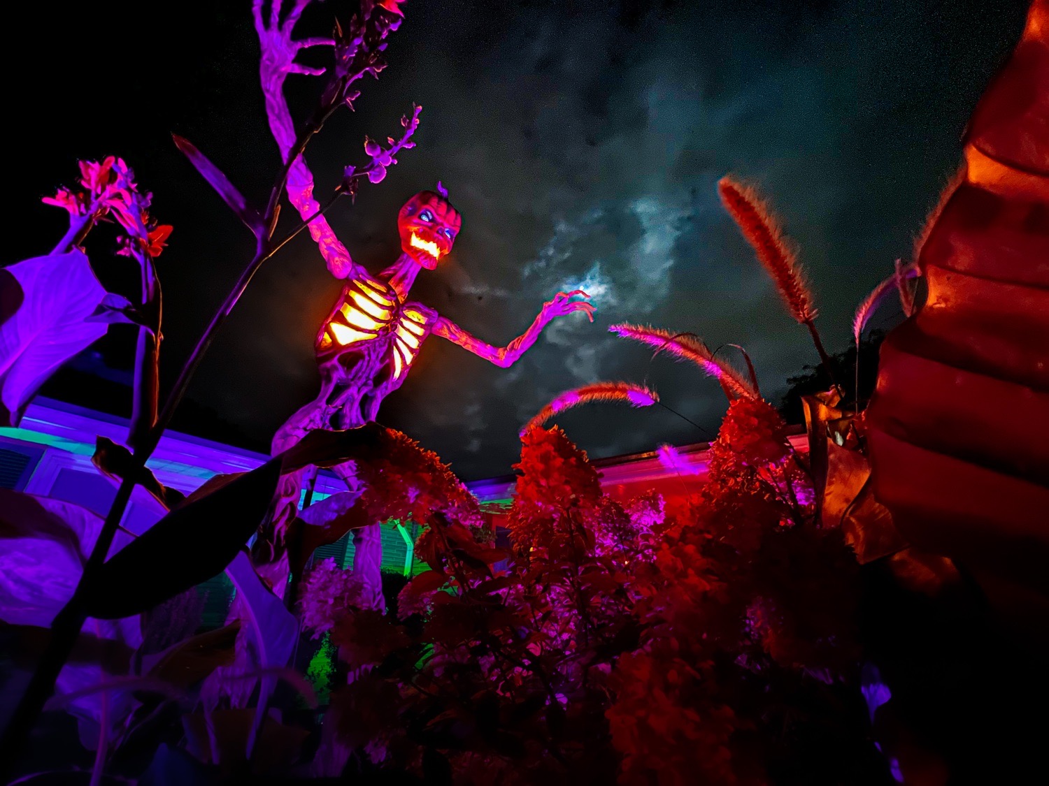 Wicked Infernal Garden