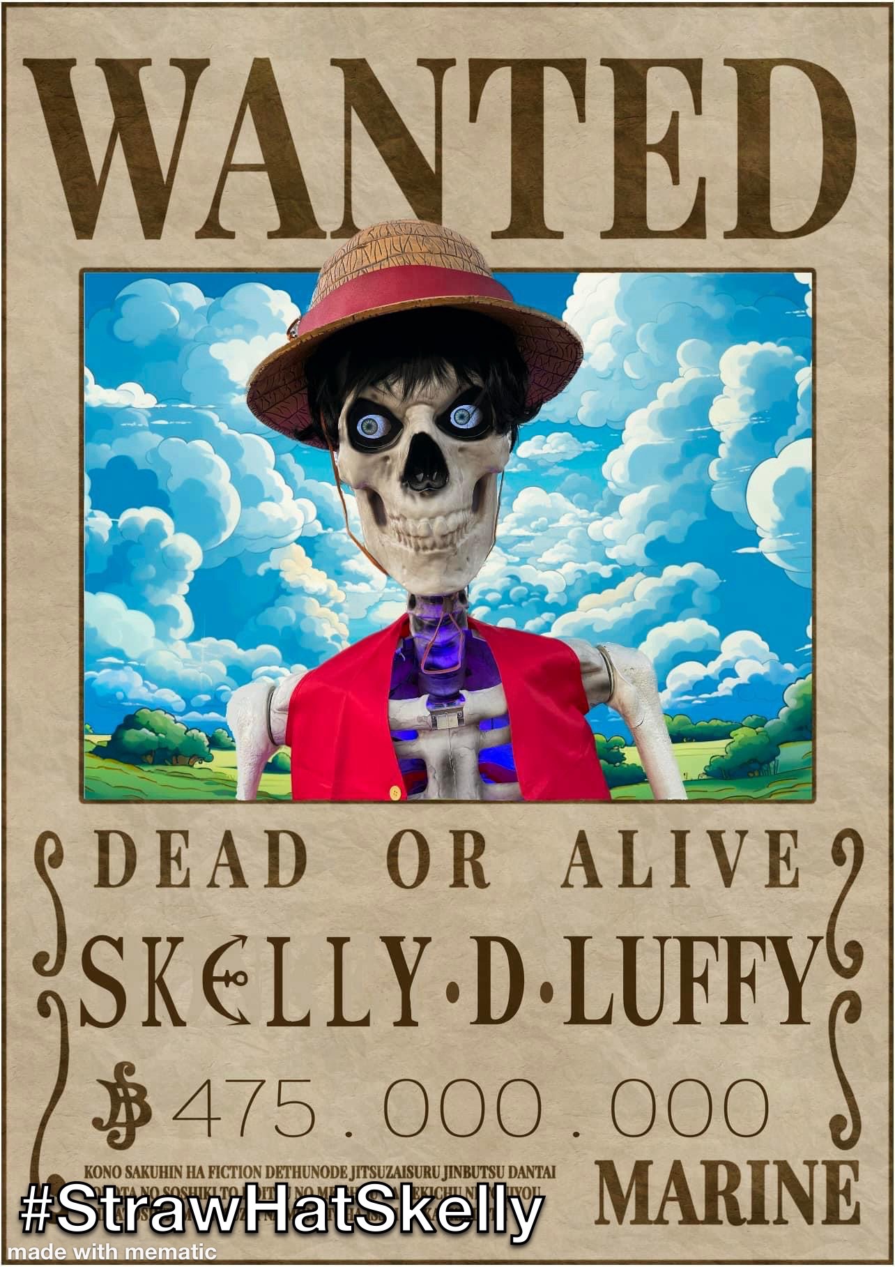 King of the pirates - Straw Hat Skelly