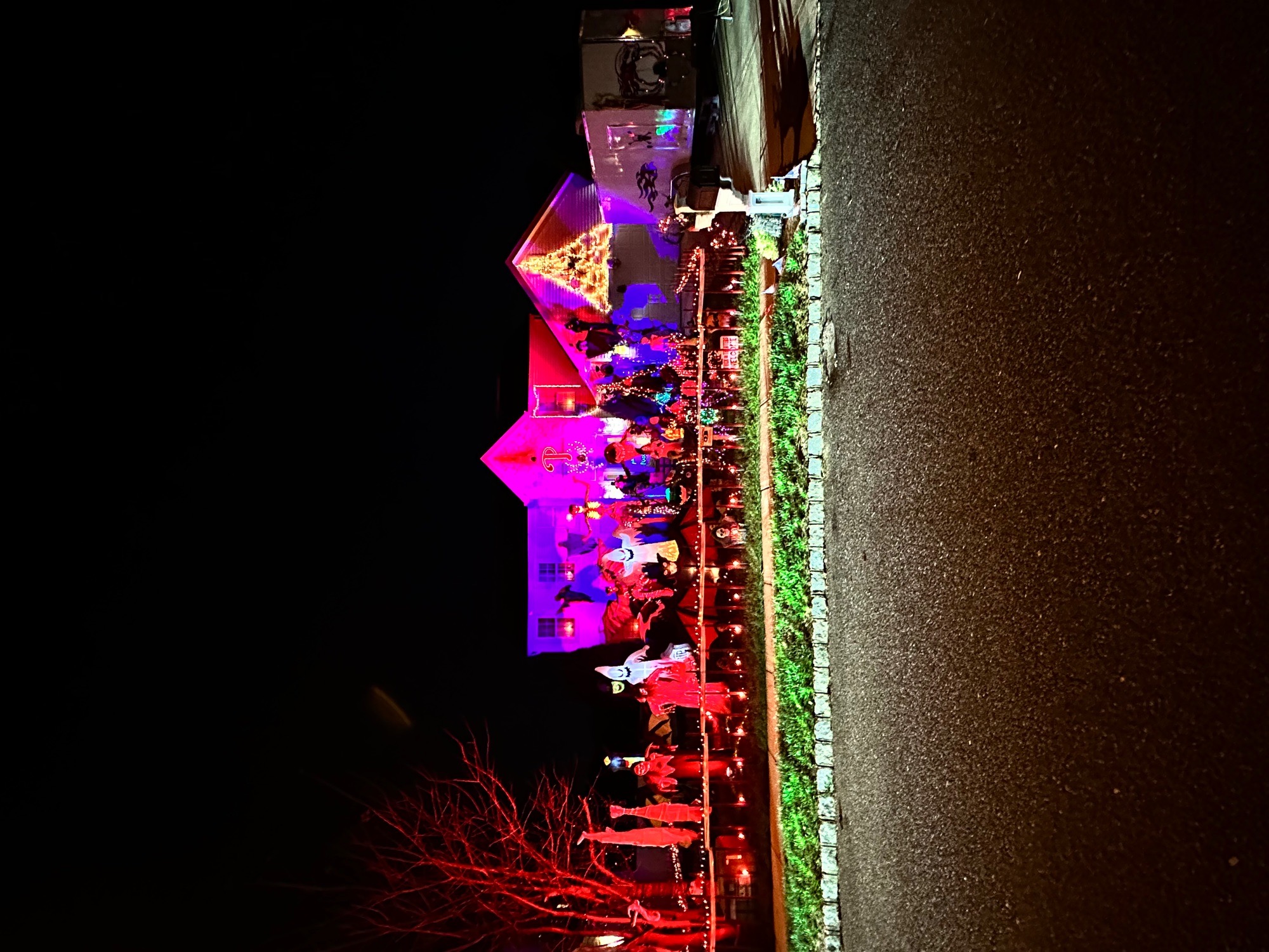 ZACCARIA HALLOWEEN FEST