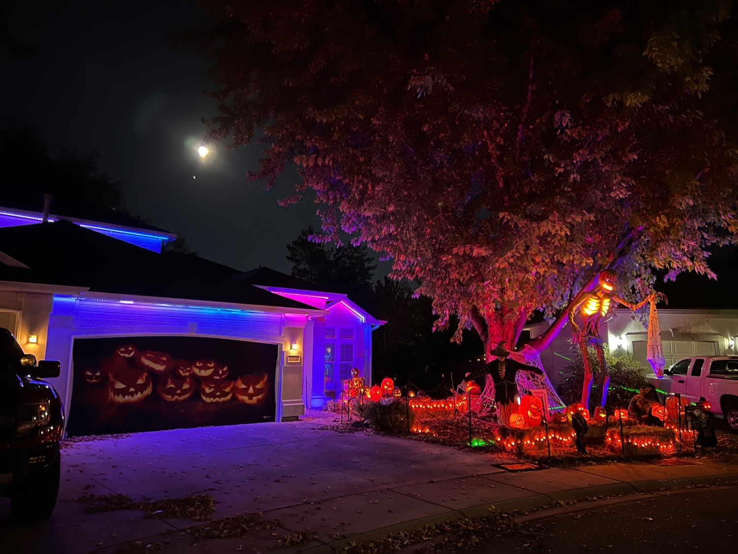 Rob’s Frights on Harbour Grove