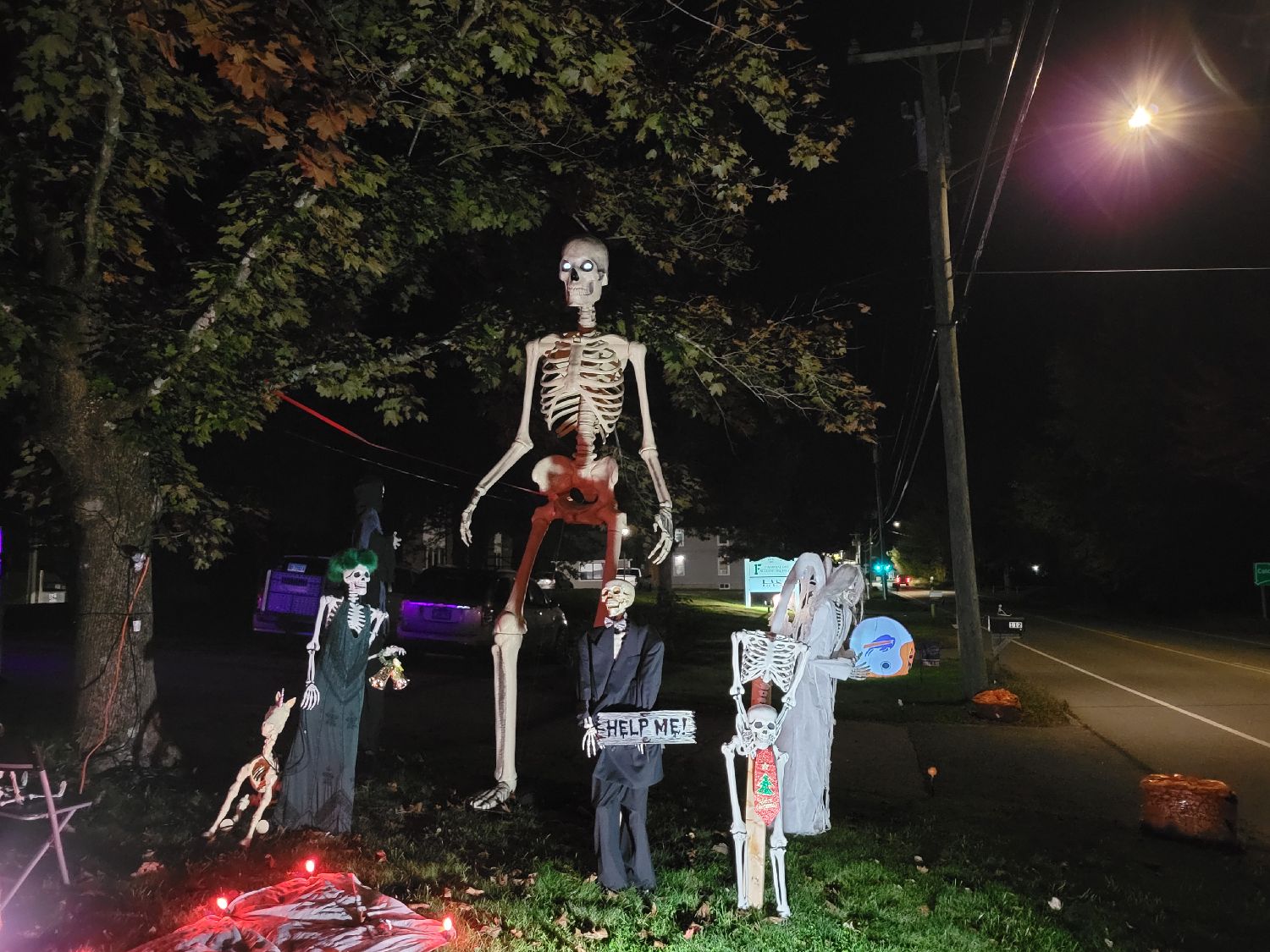 Skeleton Wedding