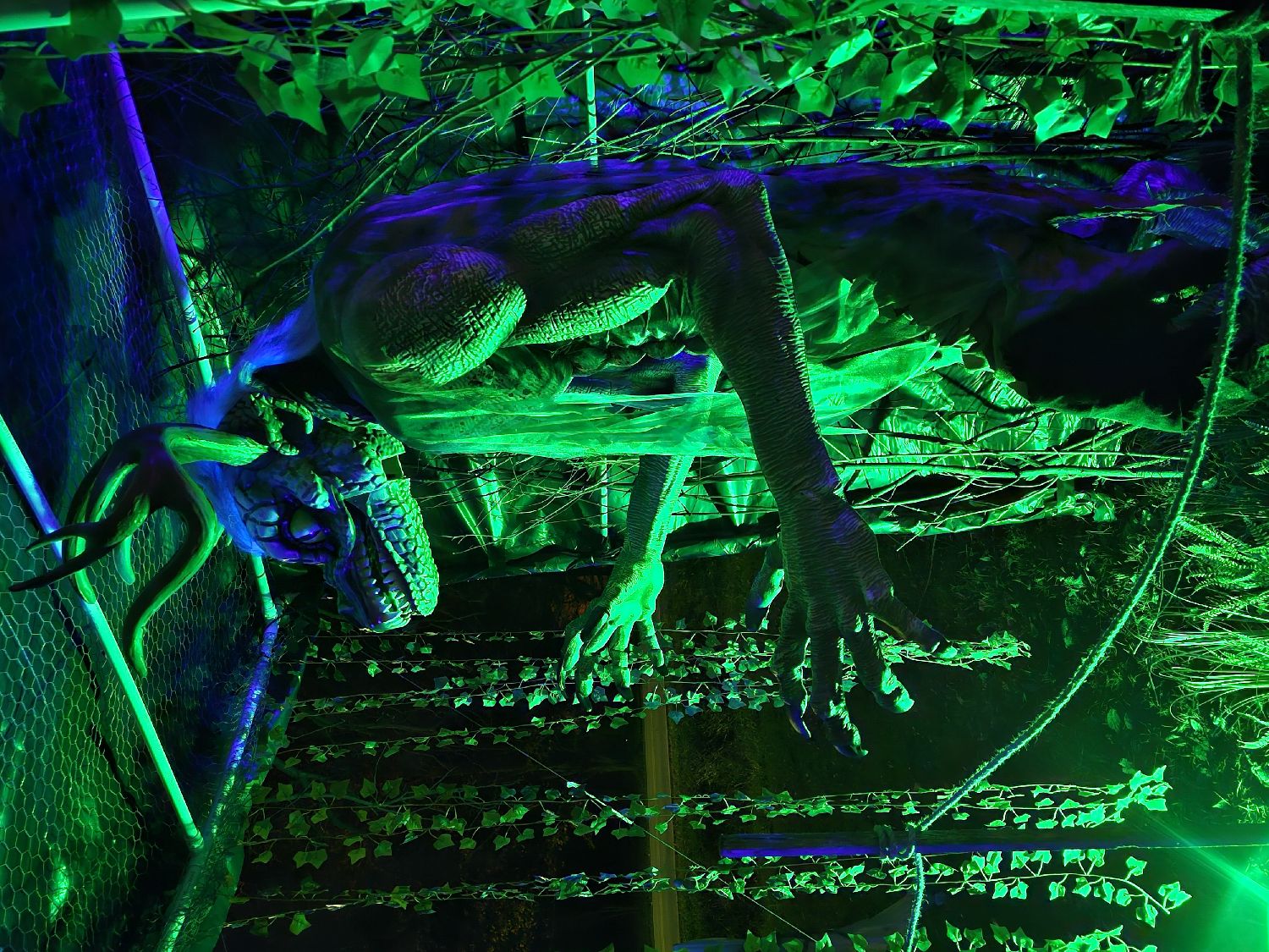 Haunted Tunnel of Terror
