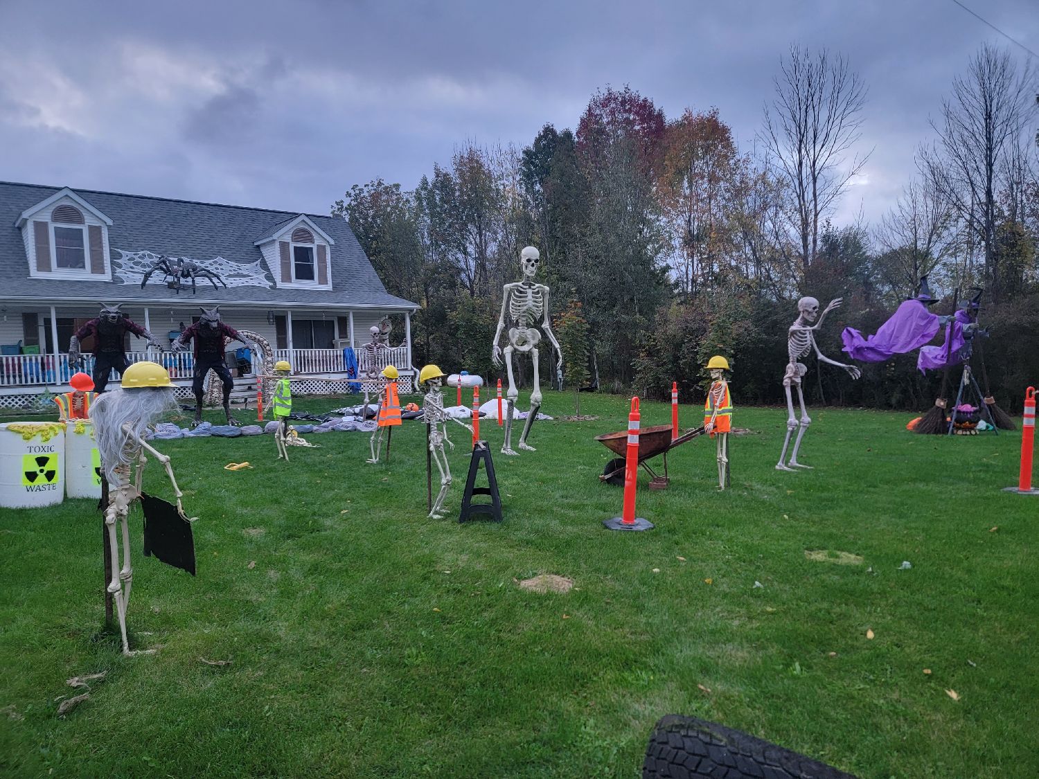 Soye Family Display