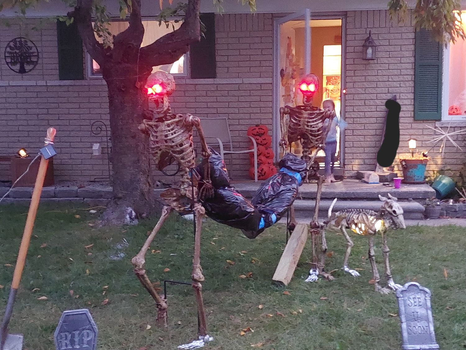 Haunted Hamel Homestead