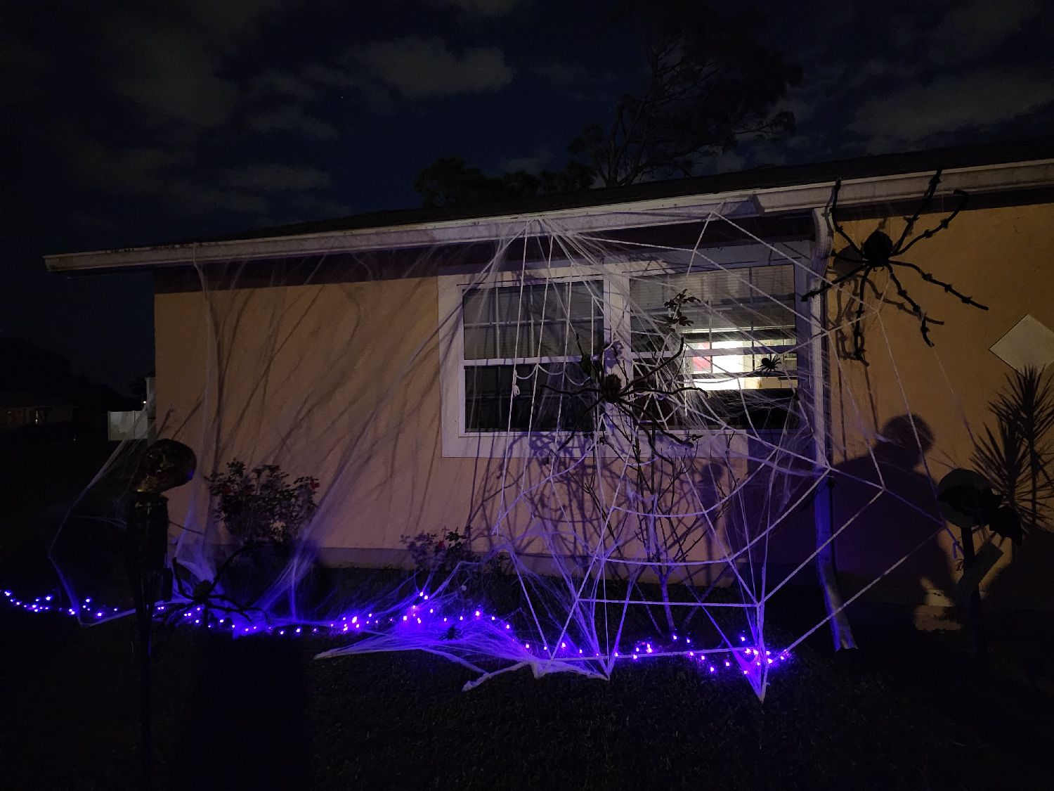 Yard display and candy!