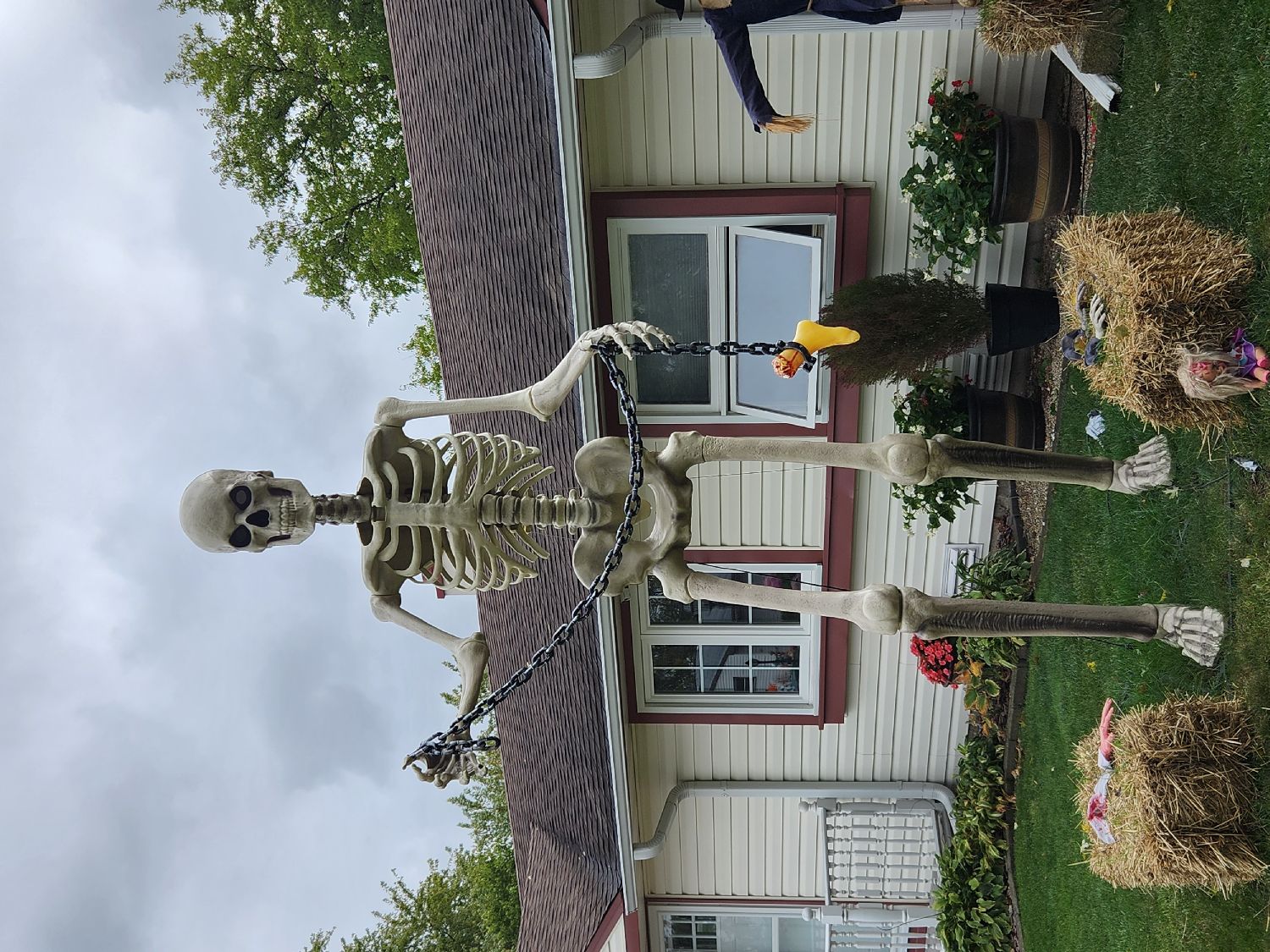 skelly on Corcoran