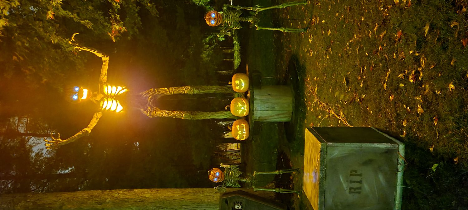 the Haunted Nobottom