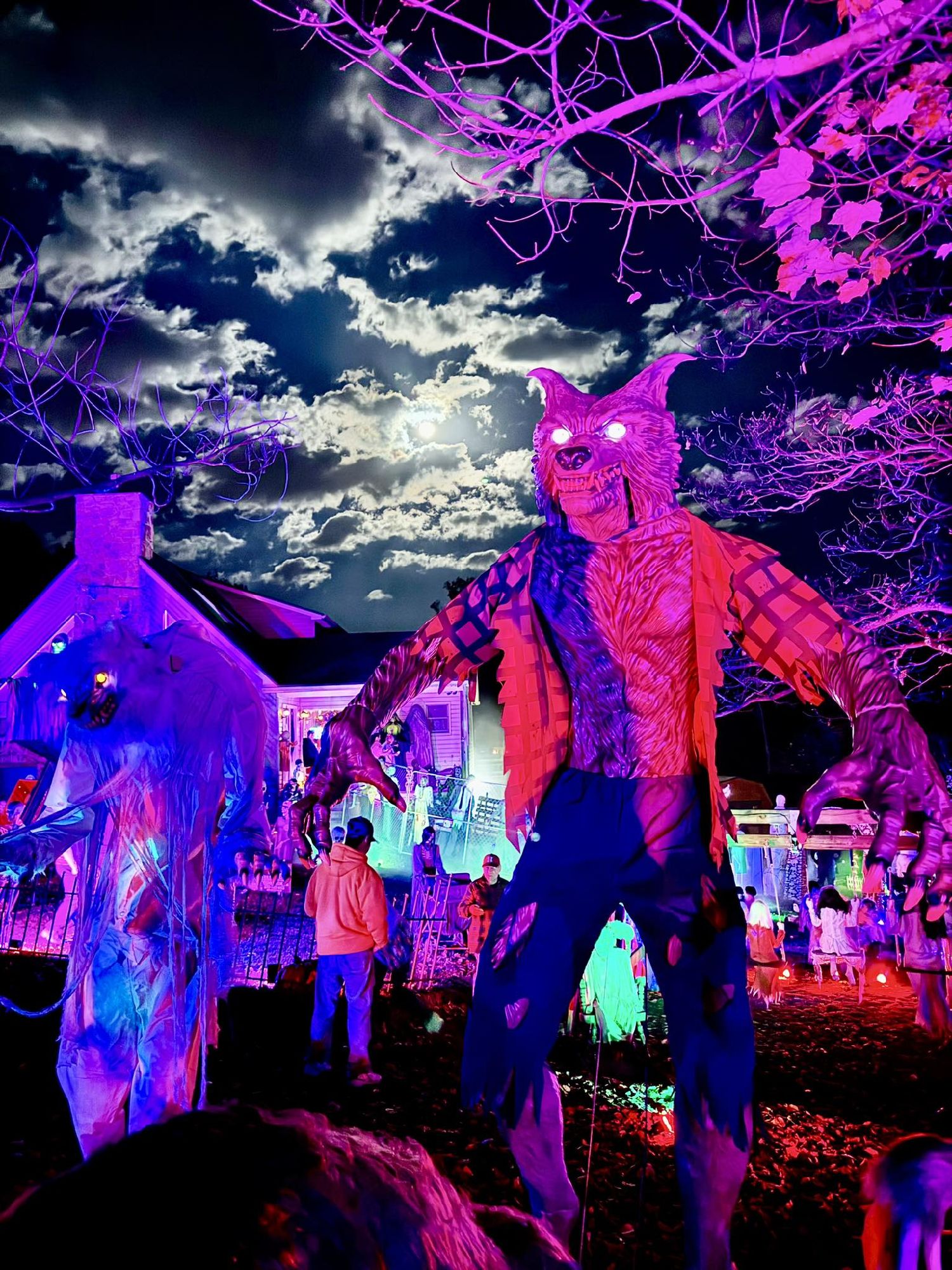 The Davis Haunt