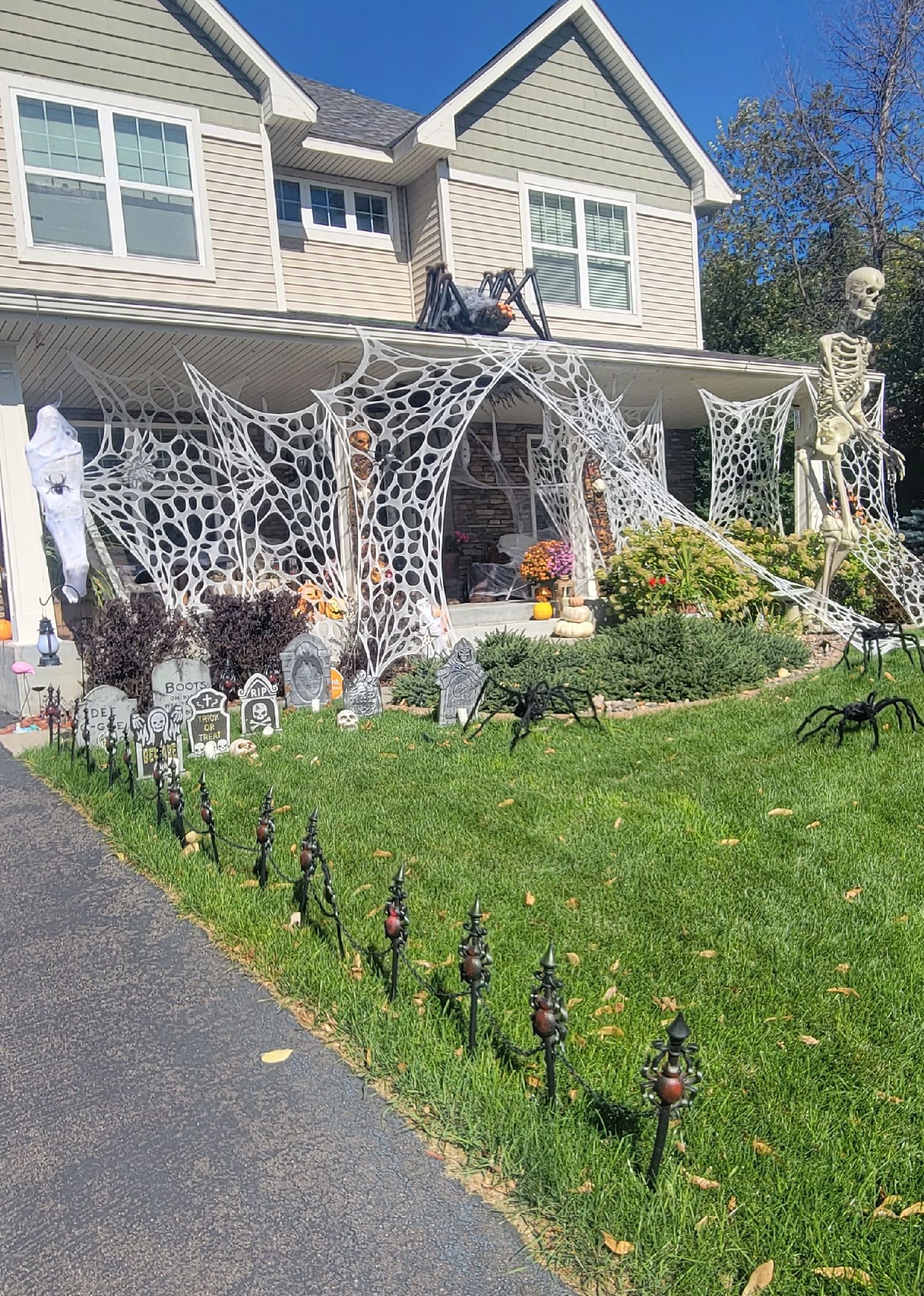 Attack of the Spiders in Lakeville, MN