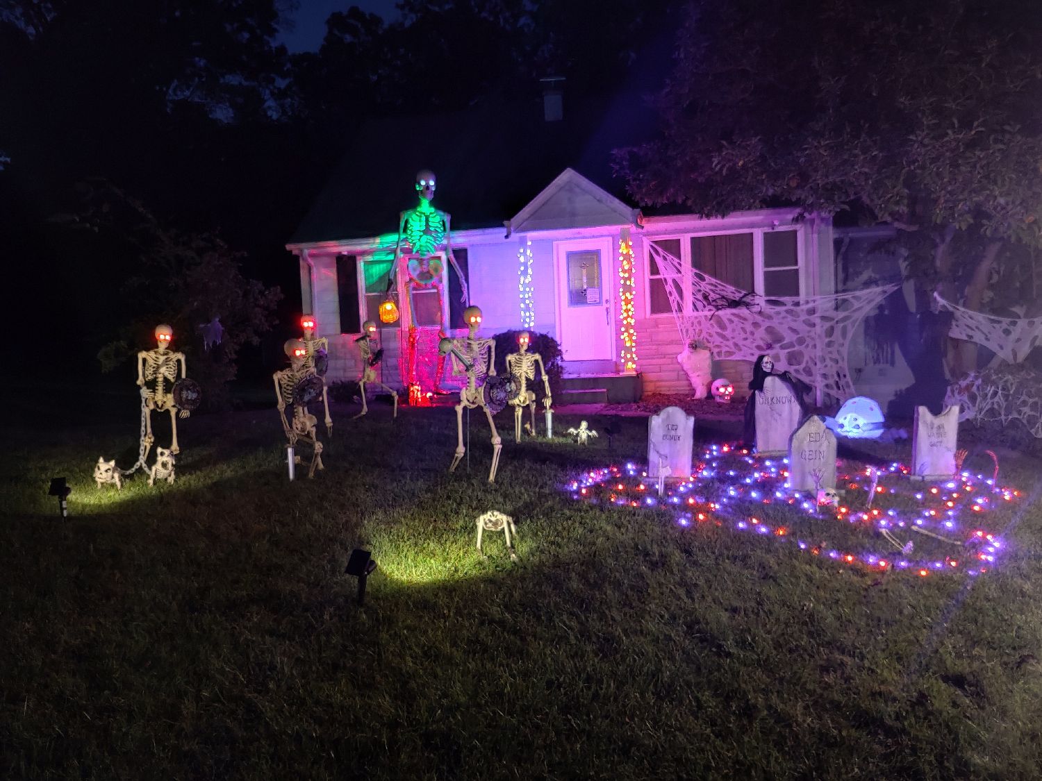 Skeletons and dogs, oh my!
