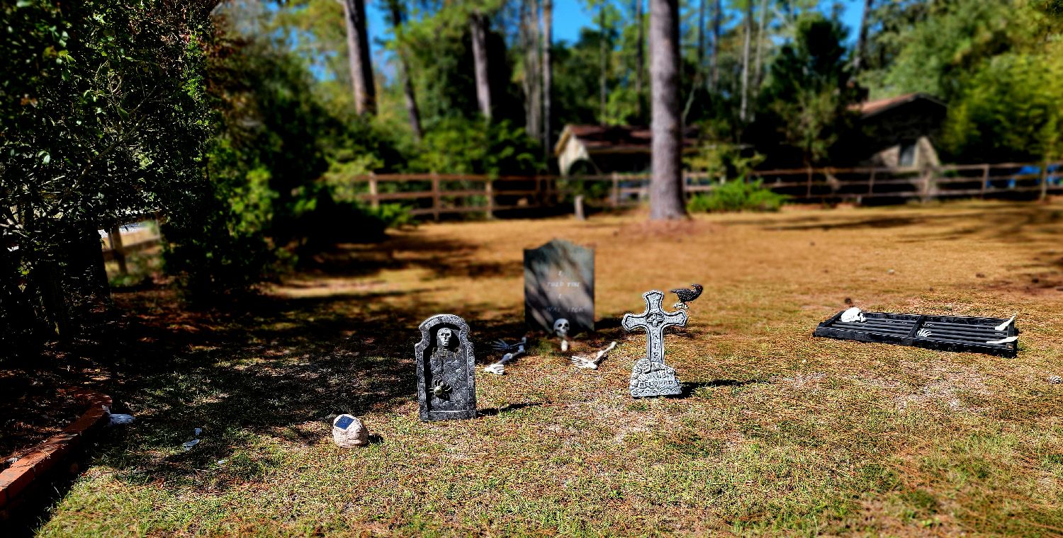 Graveyard Trick or treat spot