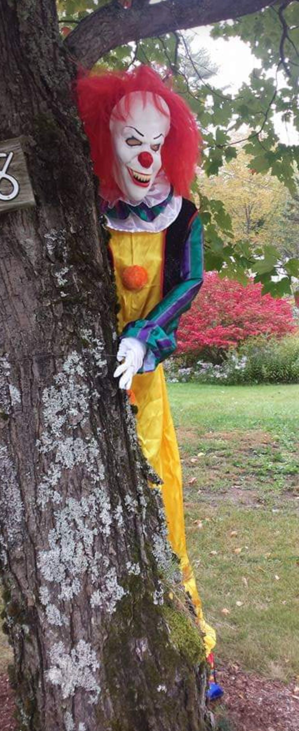whoville Halloween