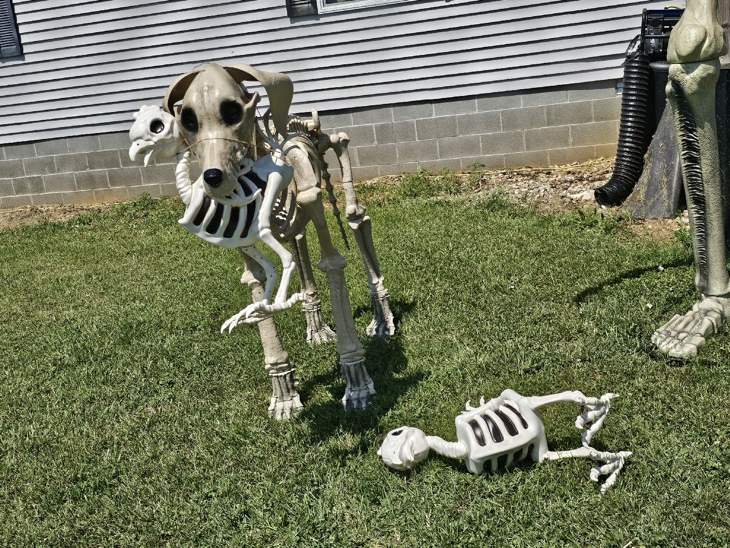 skeletons for st.jude