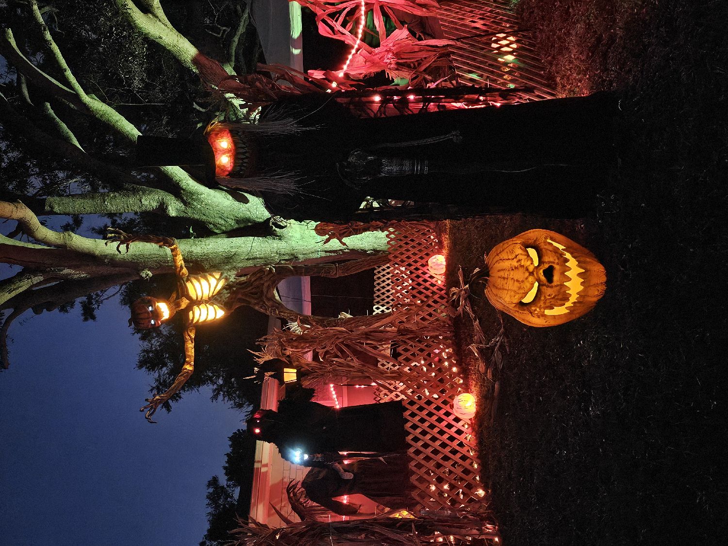 scarecrows and pumpkins