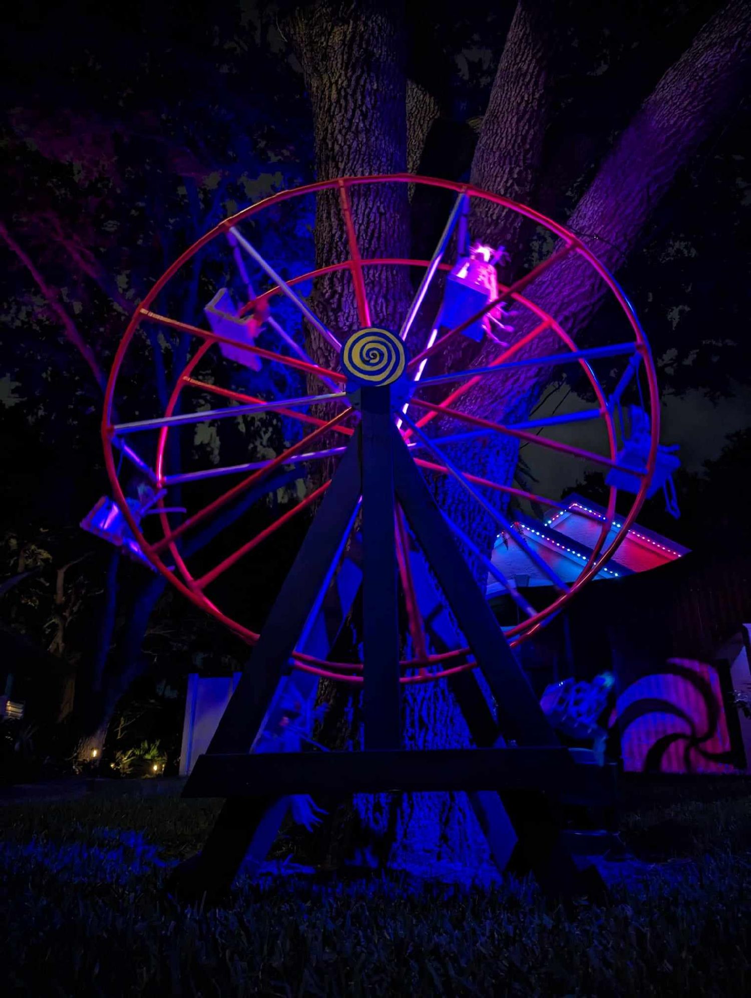 Schaffer Family Light Show