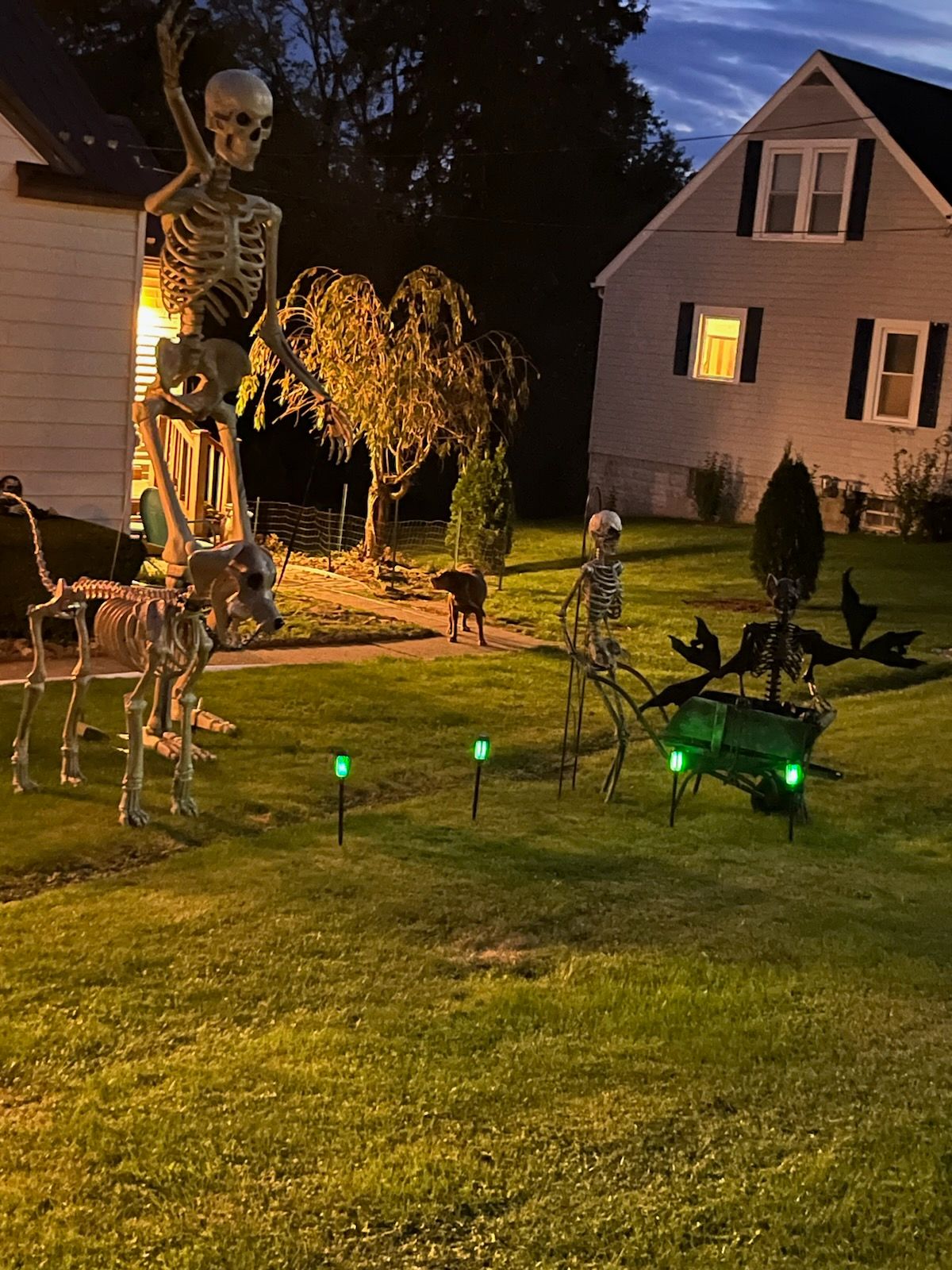 skeletons of lynchville