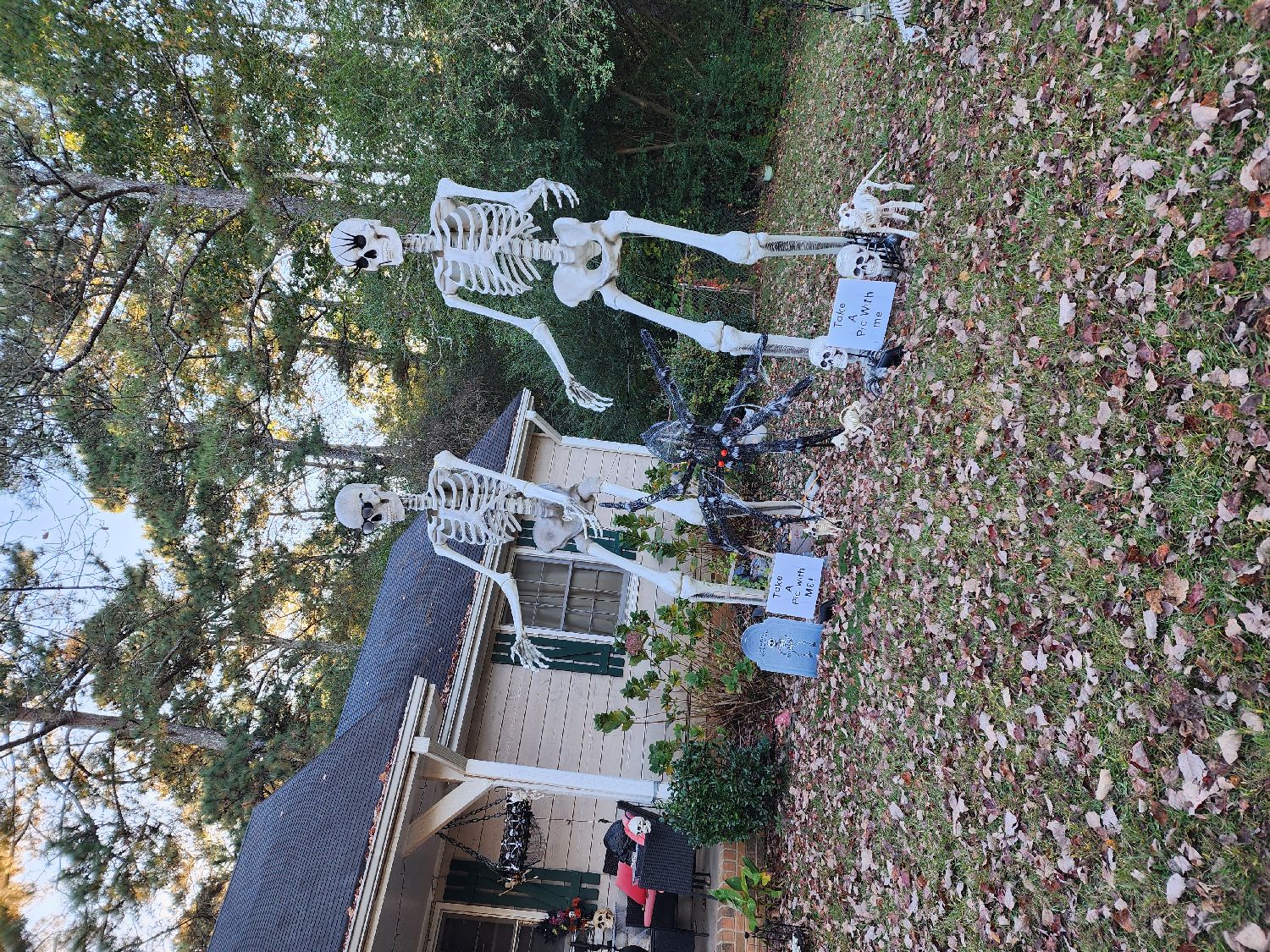 Theskeletonhouse