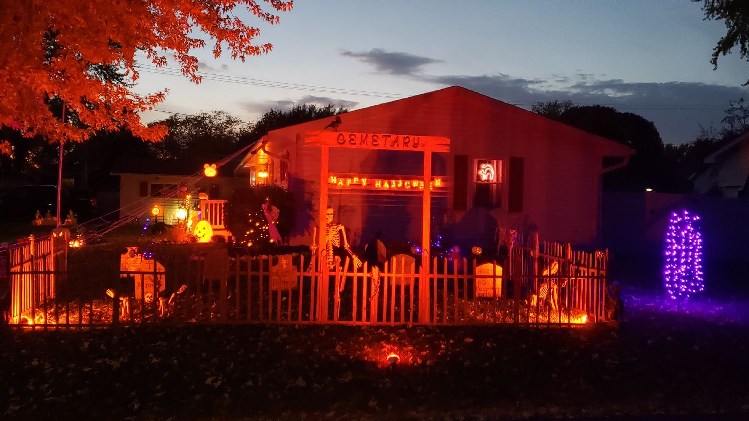 Sunset Haunt