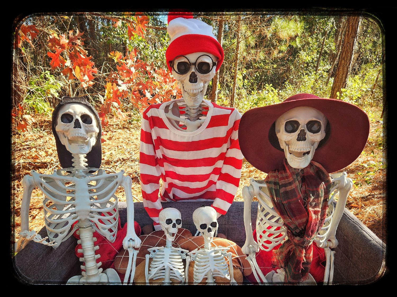 Meet the spinesteins