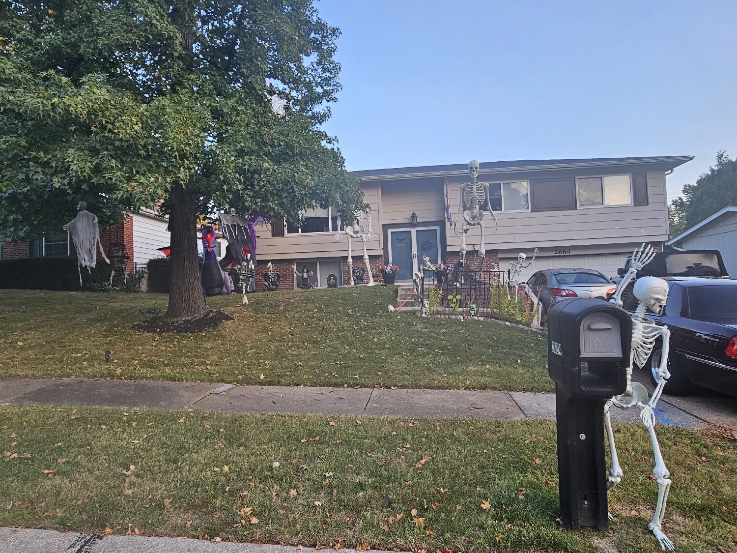Hank and Henrietta