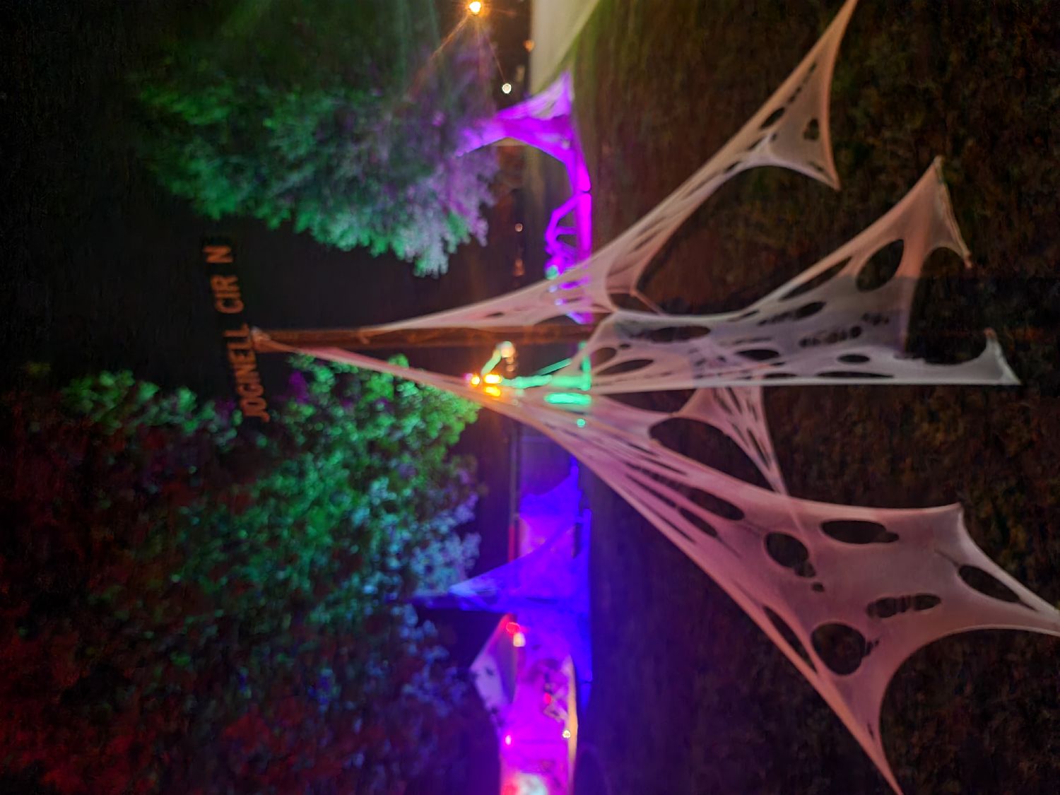 The Skeleton House