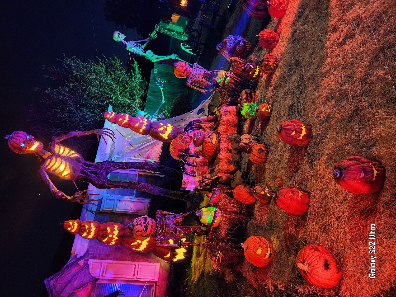 Nightmare on Elm Branch Dr