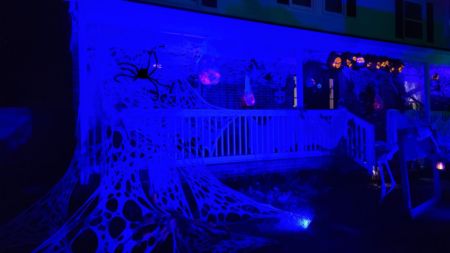 Scary Haunt