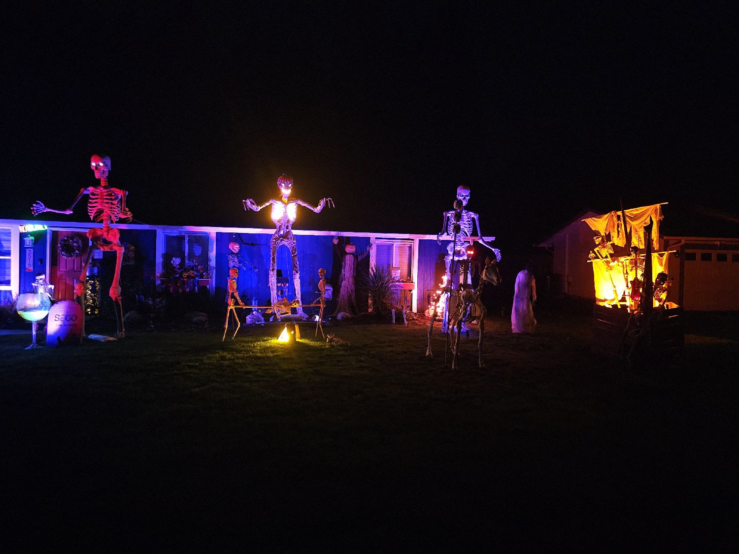 12 ft skeletons!