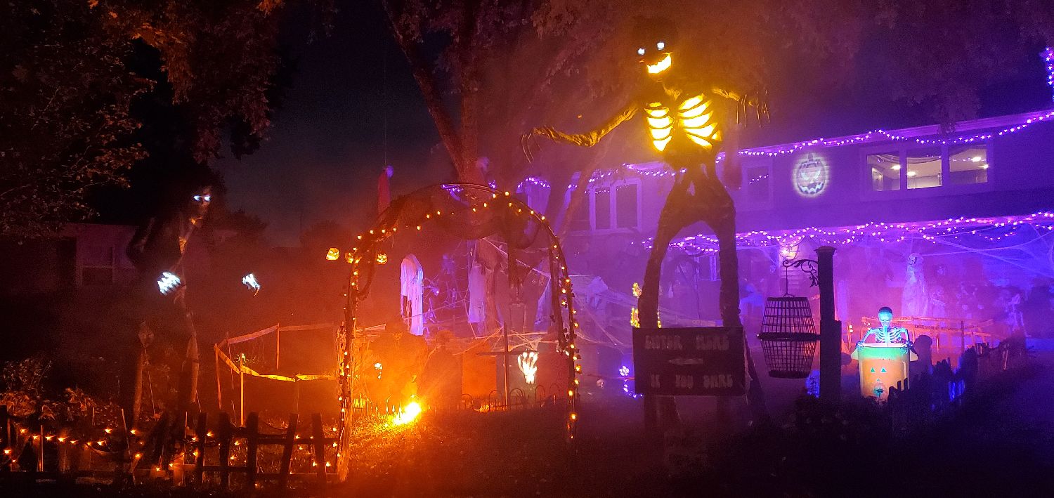 Skellies on Shelley