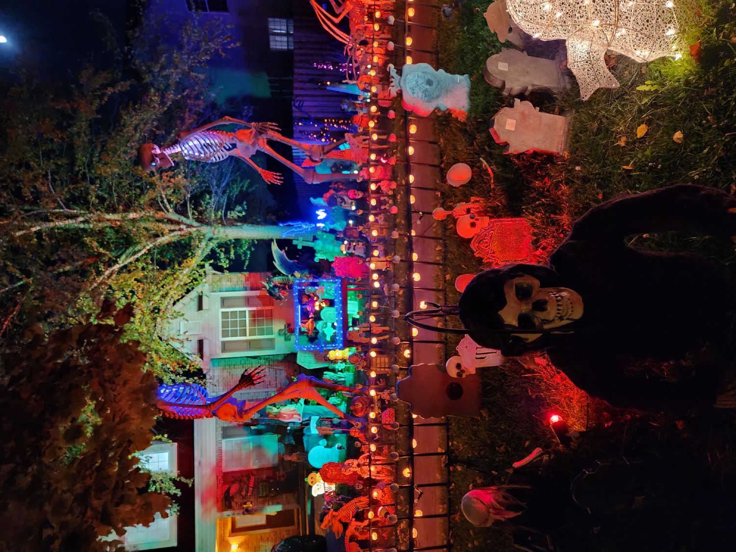Bone manor