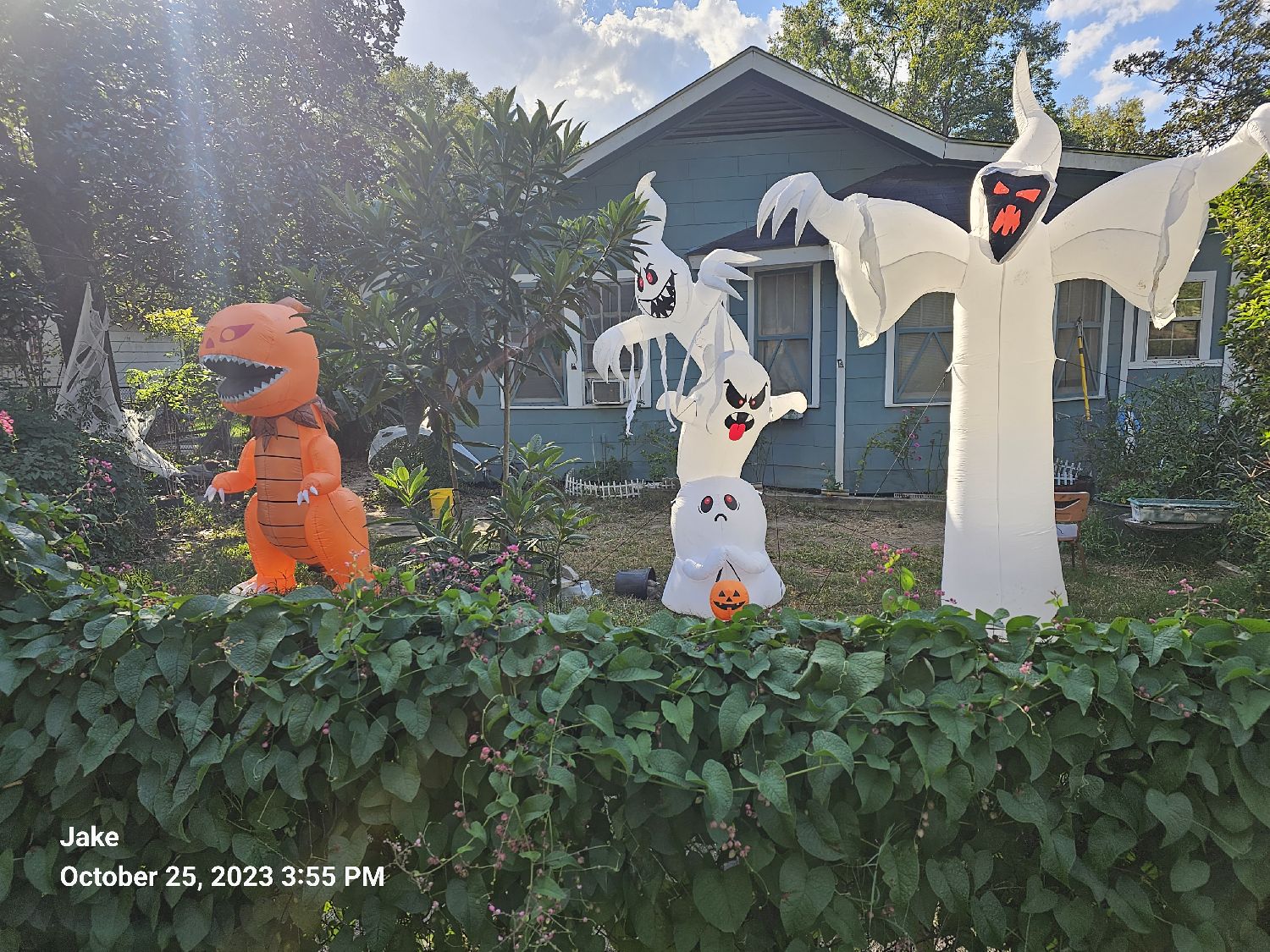 Boo by the Zoo