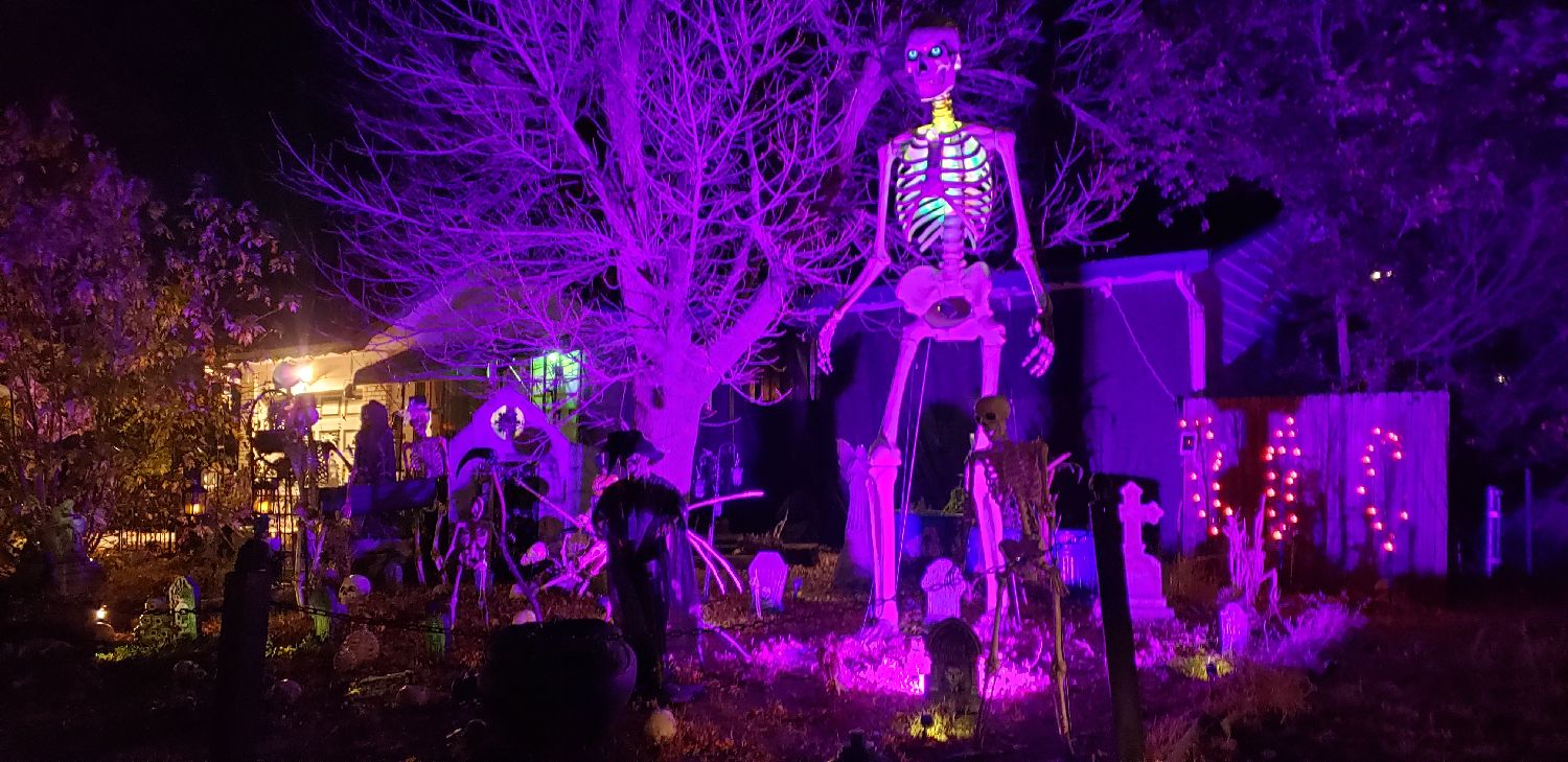 Clearview Cadaver Commons