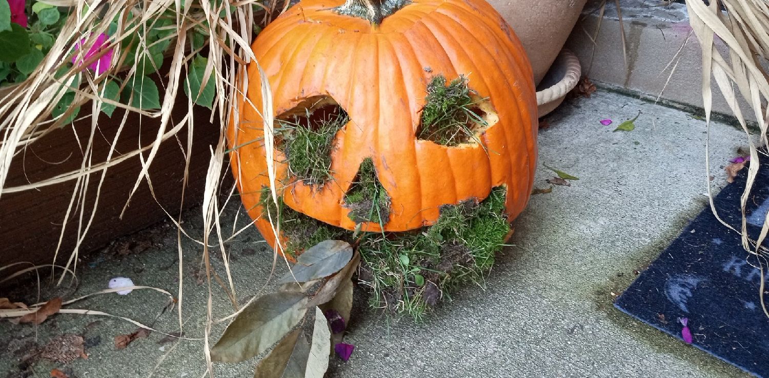 trick or treat — haunted house in Itasca, IL