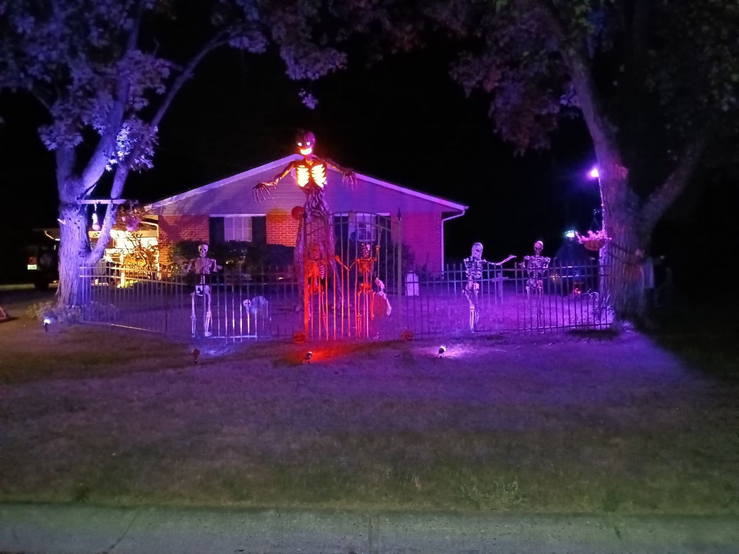 Joe's Haunted Yard