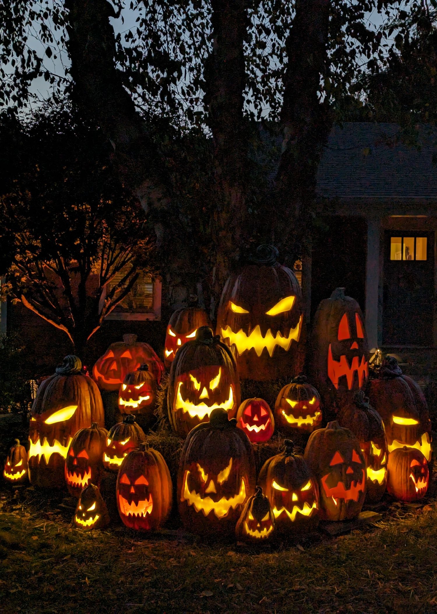 mountain of pumpkins