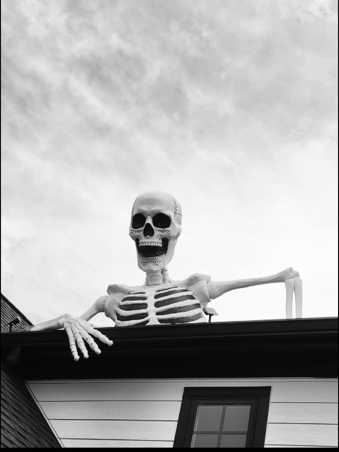 The Bone Yard