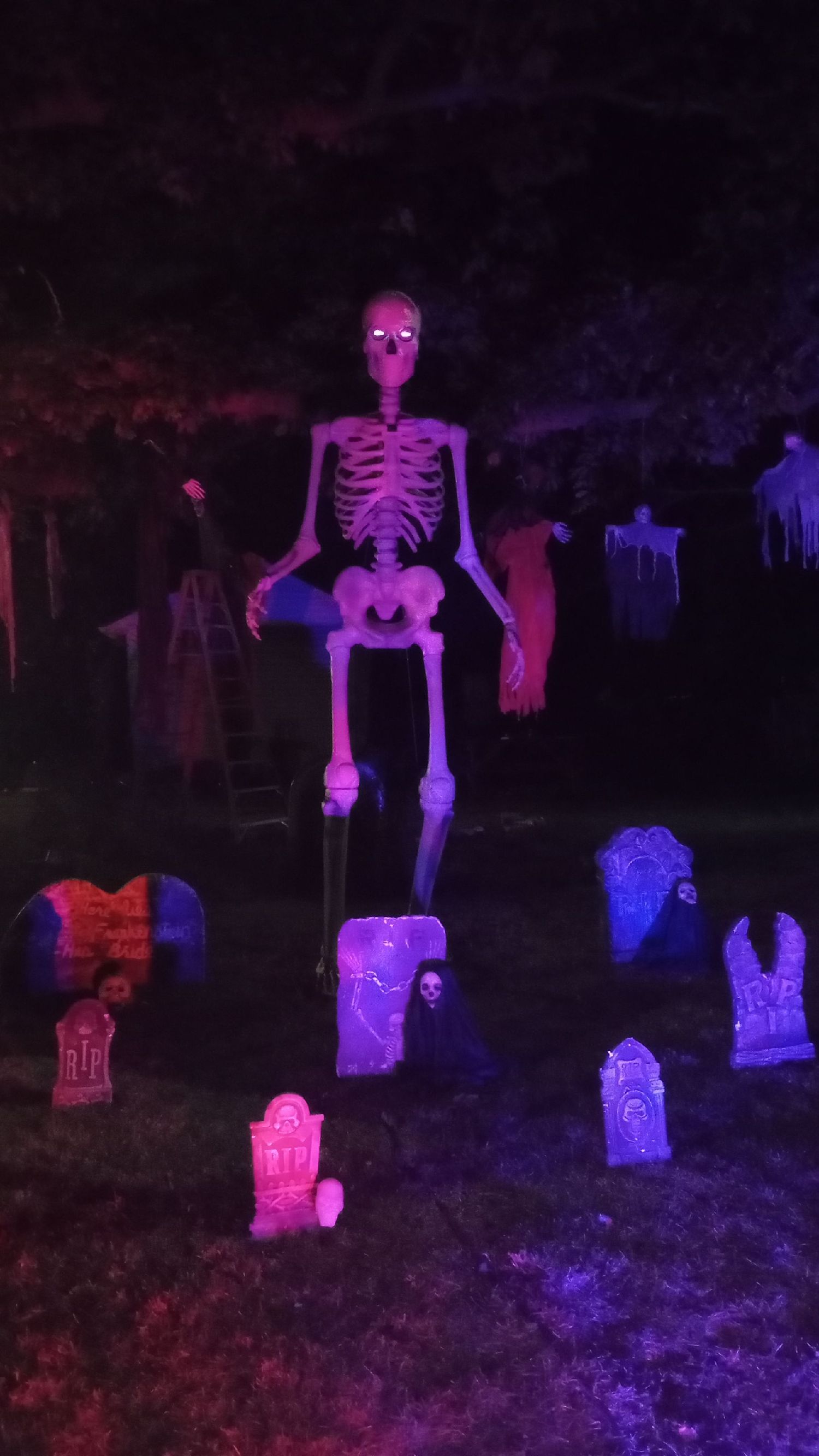 My 12ft skelly
