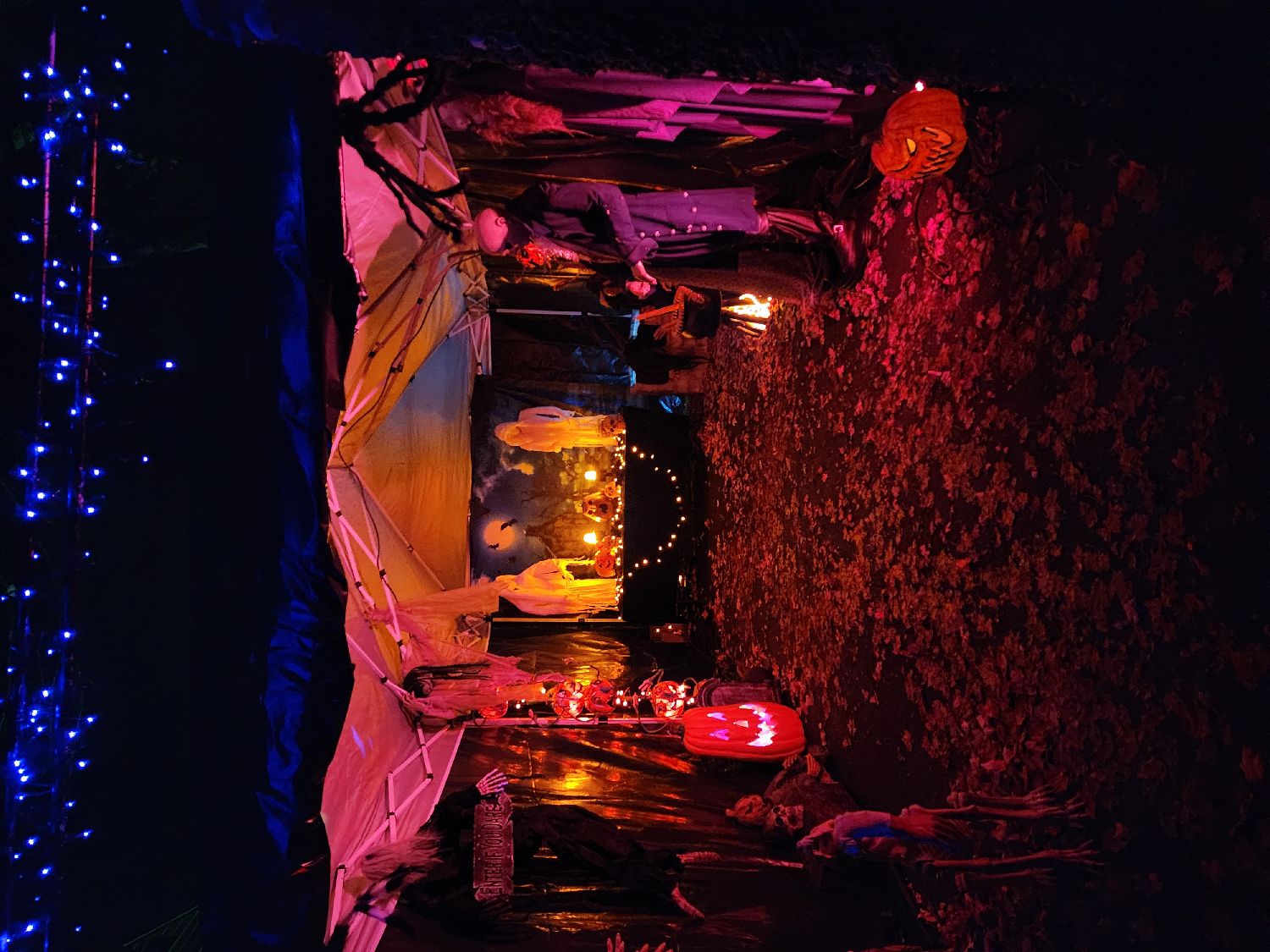 Dewey Sea of Frights