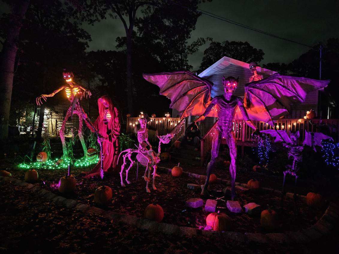 connetquot creatures