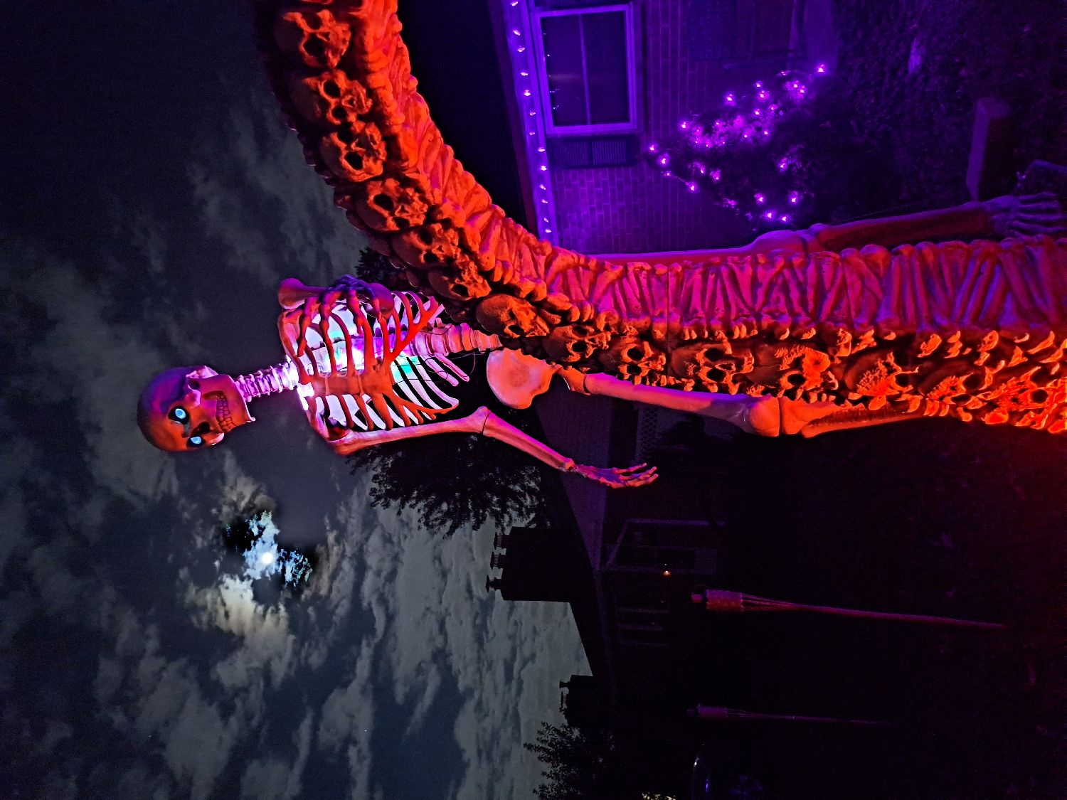 12 Foot Skelly Halloween Display in Camp Hill, Pennsylvania