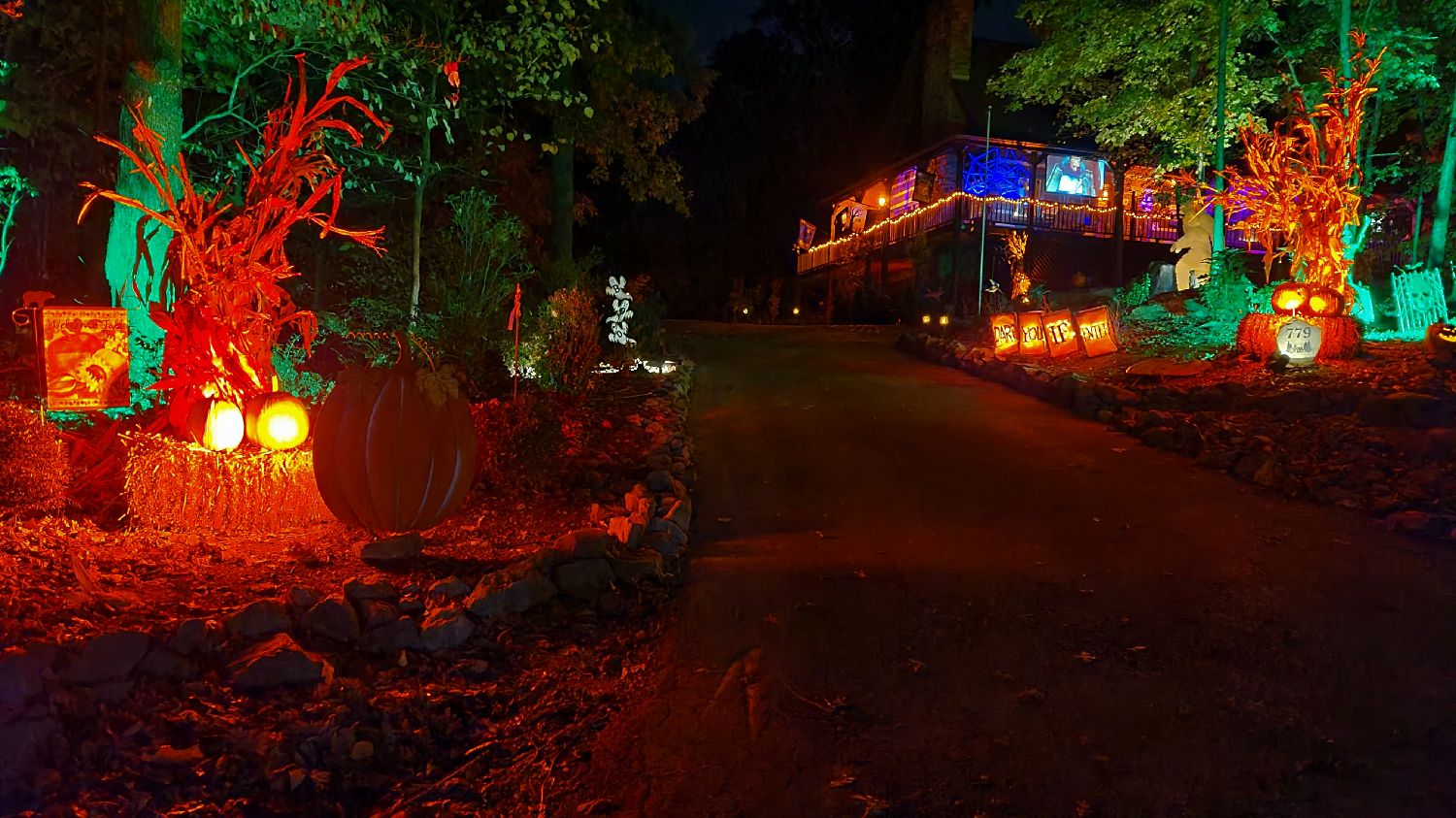 Nightmare on McKenzie Drive