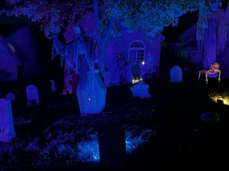Winnie haunt